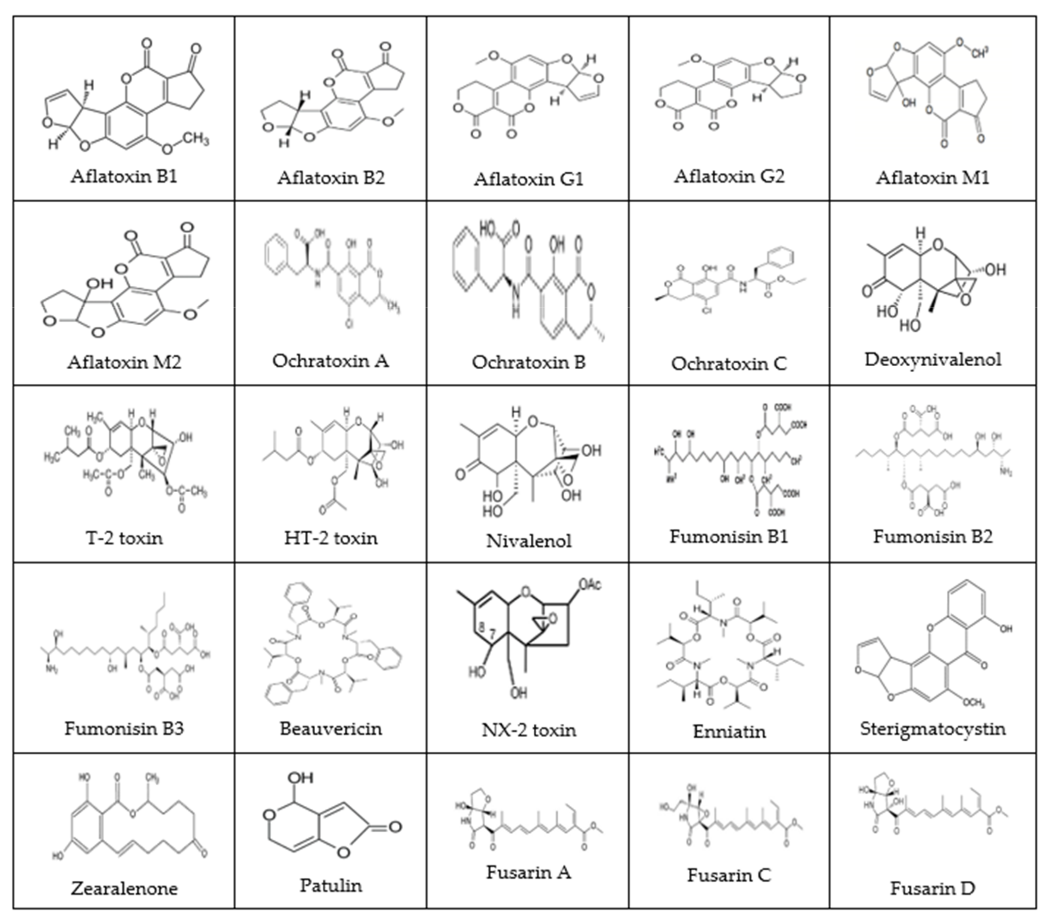 Foods Free Full Text Mycotoxins Affecting Animals Foods Humans And Plants Types Occurrence Toxicities Action Mechanisms Prevention And Detoxification Strategies A Revisit Html