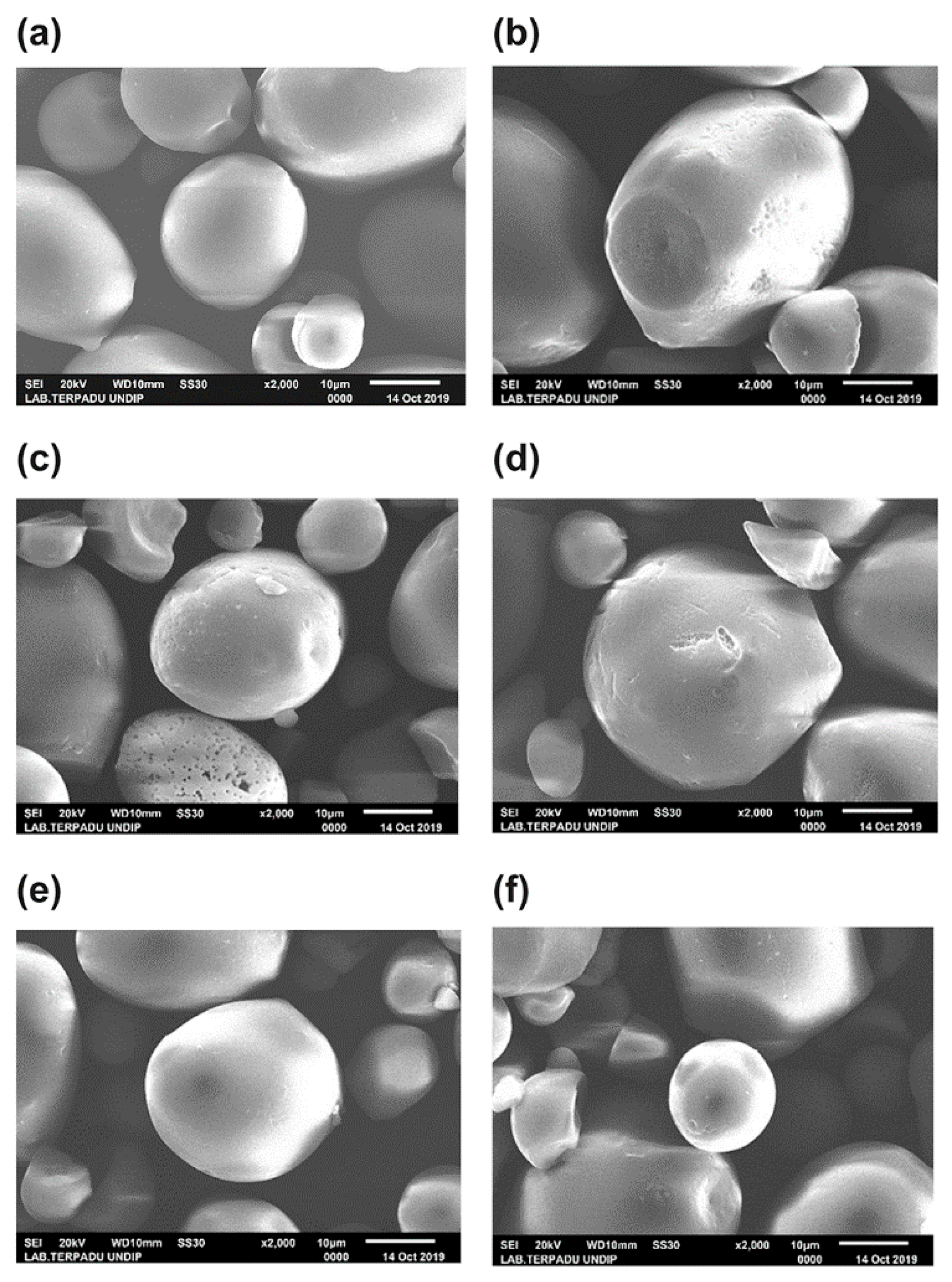 Foods 10 01309 g013 Foods 10 01309 g013