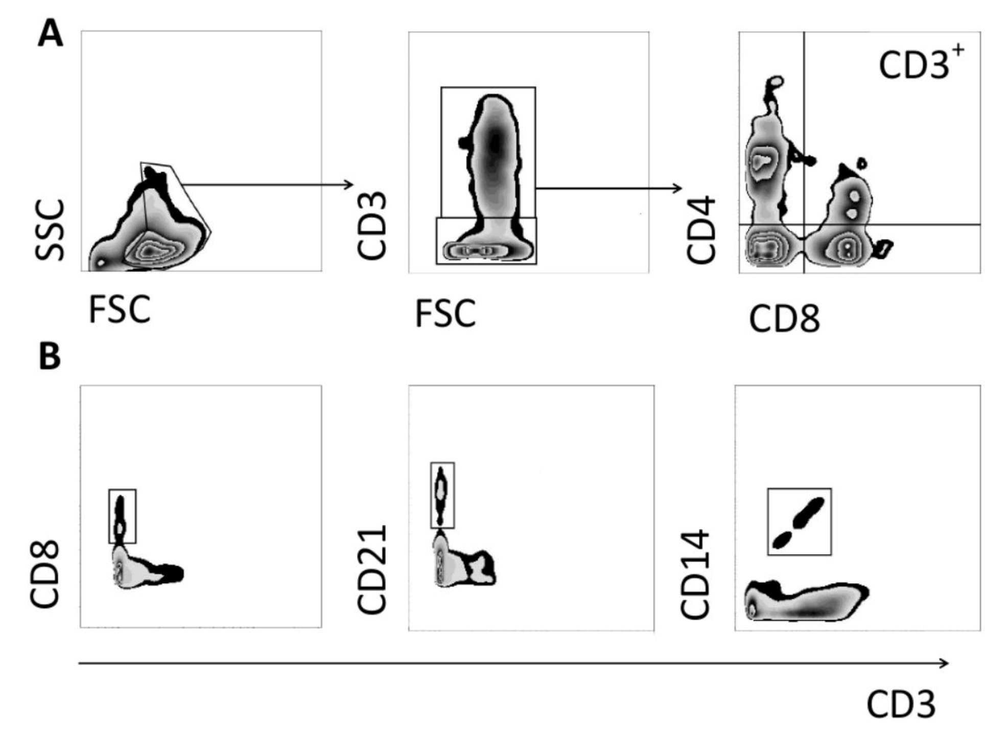Foods 10 01313 g001 Foods 10 01313 g001