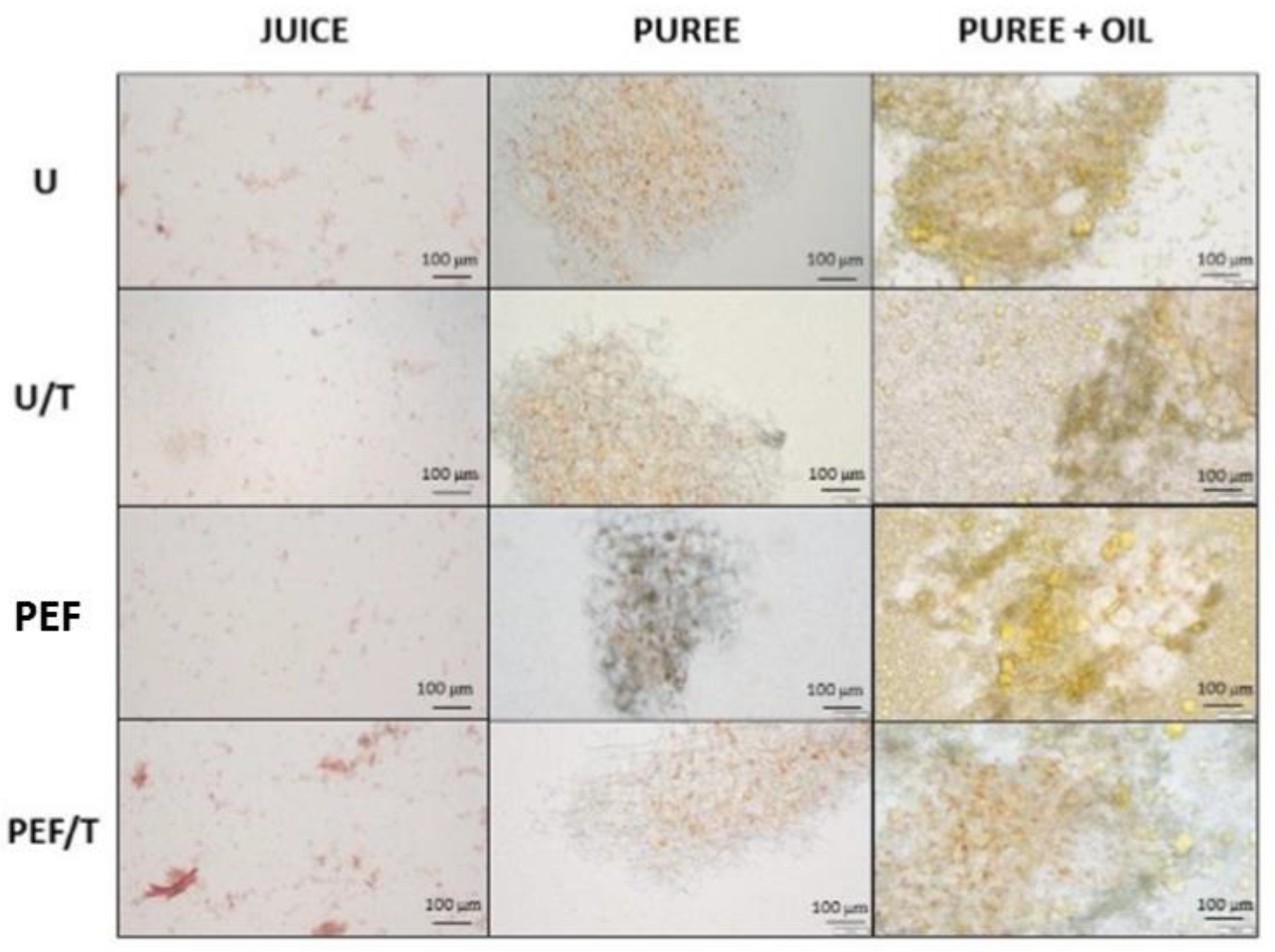 Foods 10 01321 g001 Foods 10 01321 g001