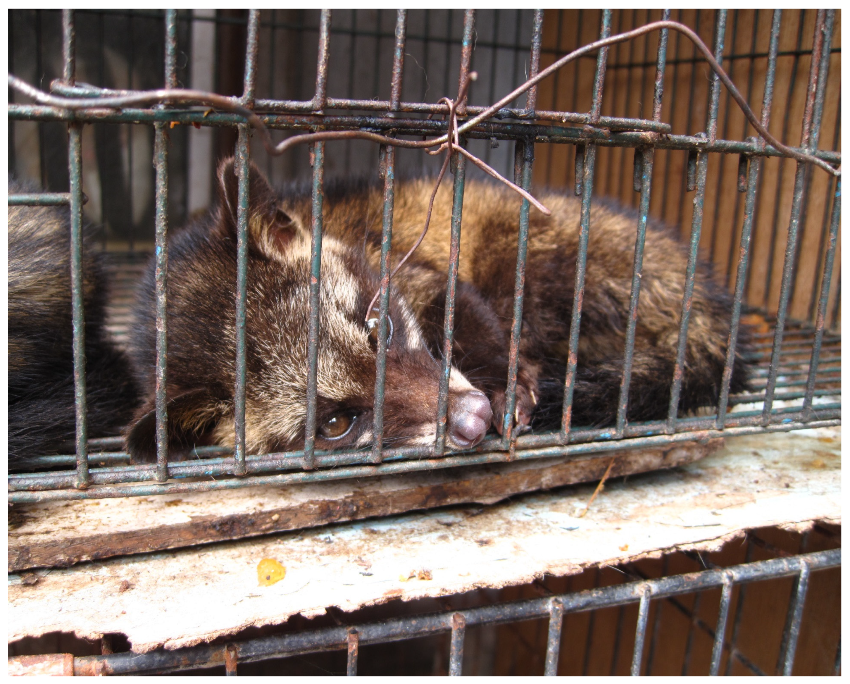 Foods 10 01329 g002 550