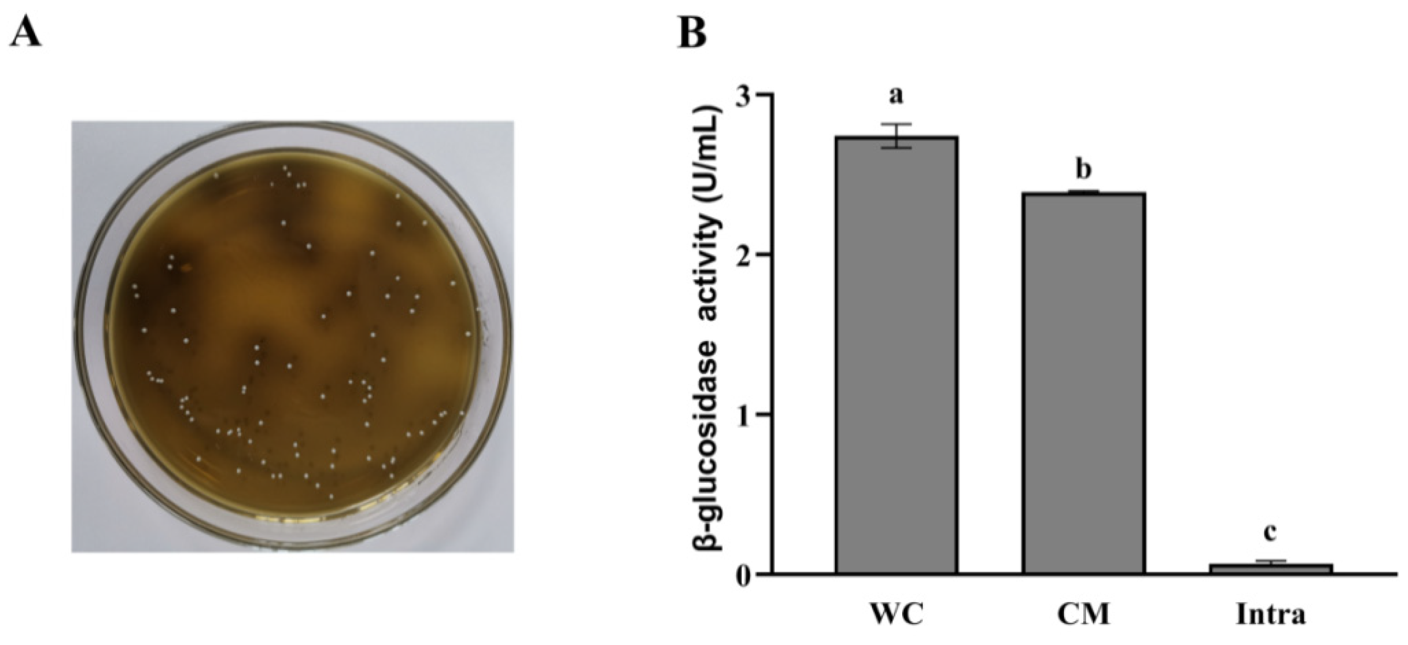 Foods 10 01343 g002 Foods 10 01343 g002
