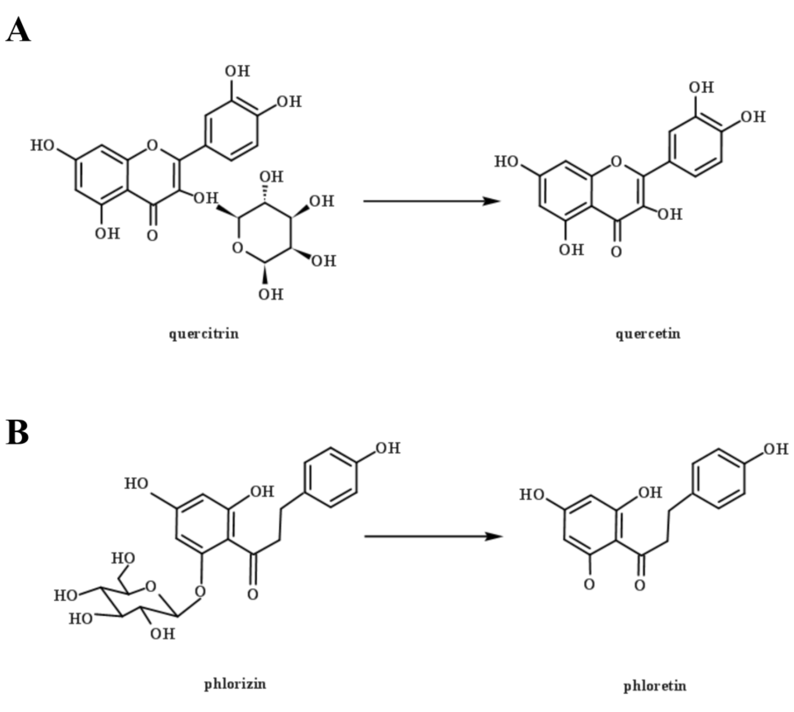 Foods 10 01343 g005 Foods 10 01343 g005