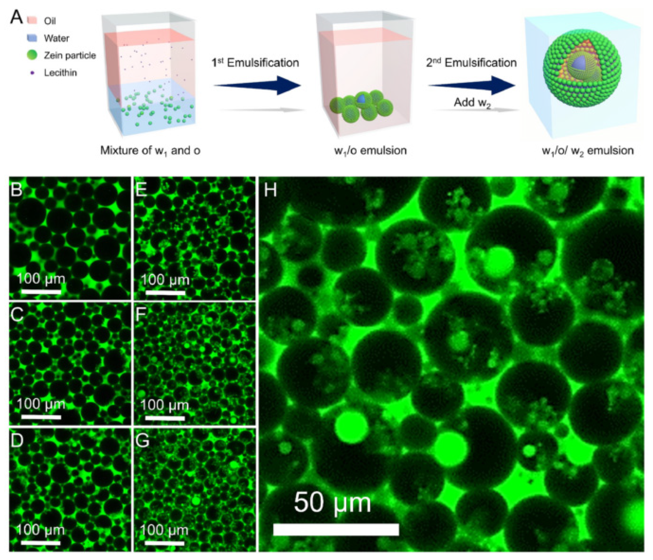 Foods 10 01354 g007 Foods 10 01354 g007