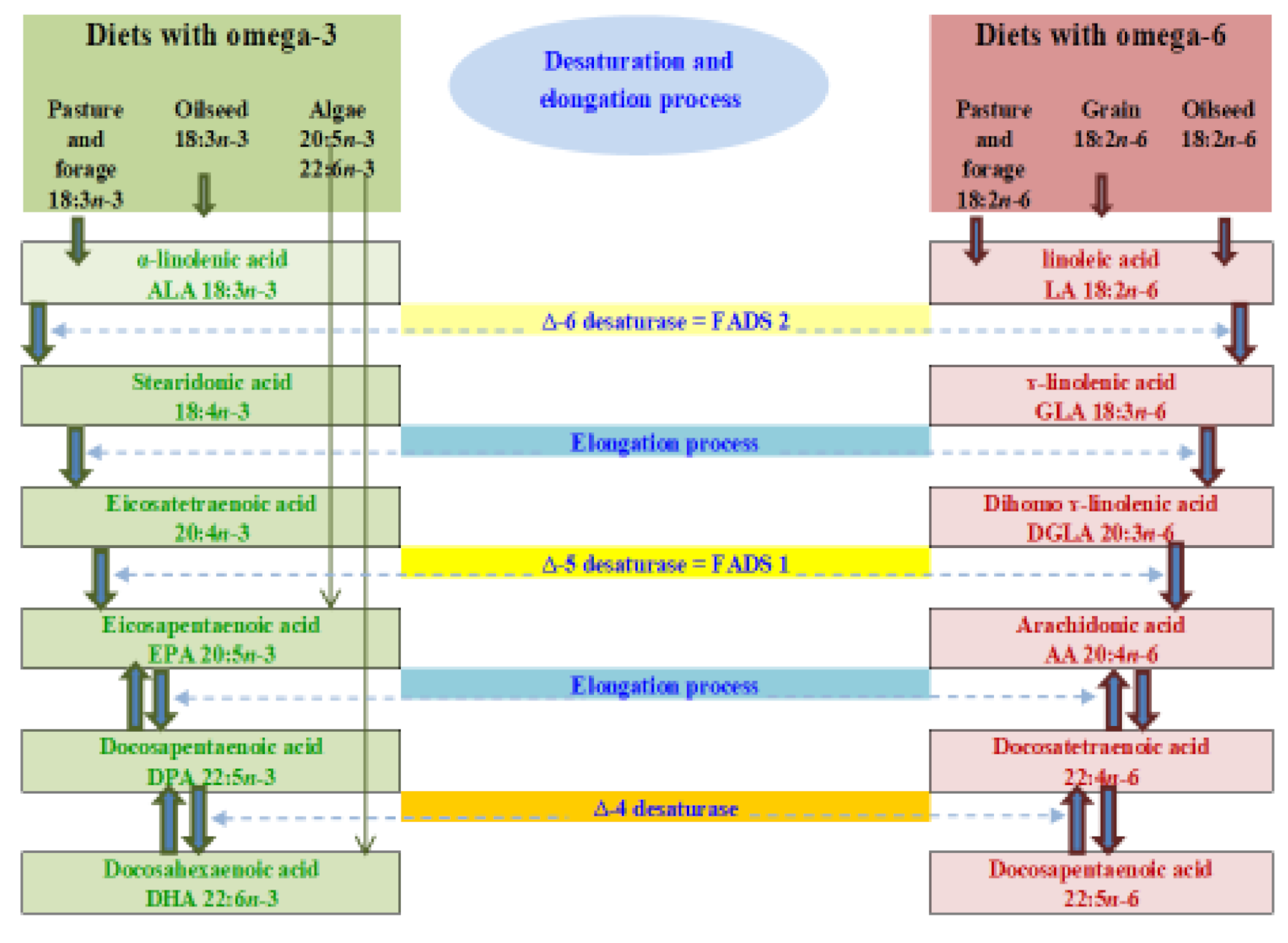 Foods 10 01358 g002 Foods 10 01358 g002