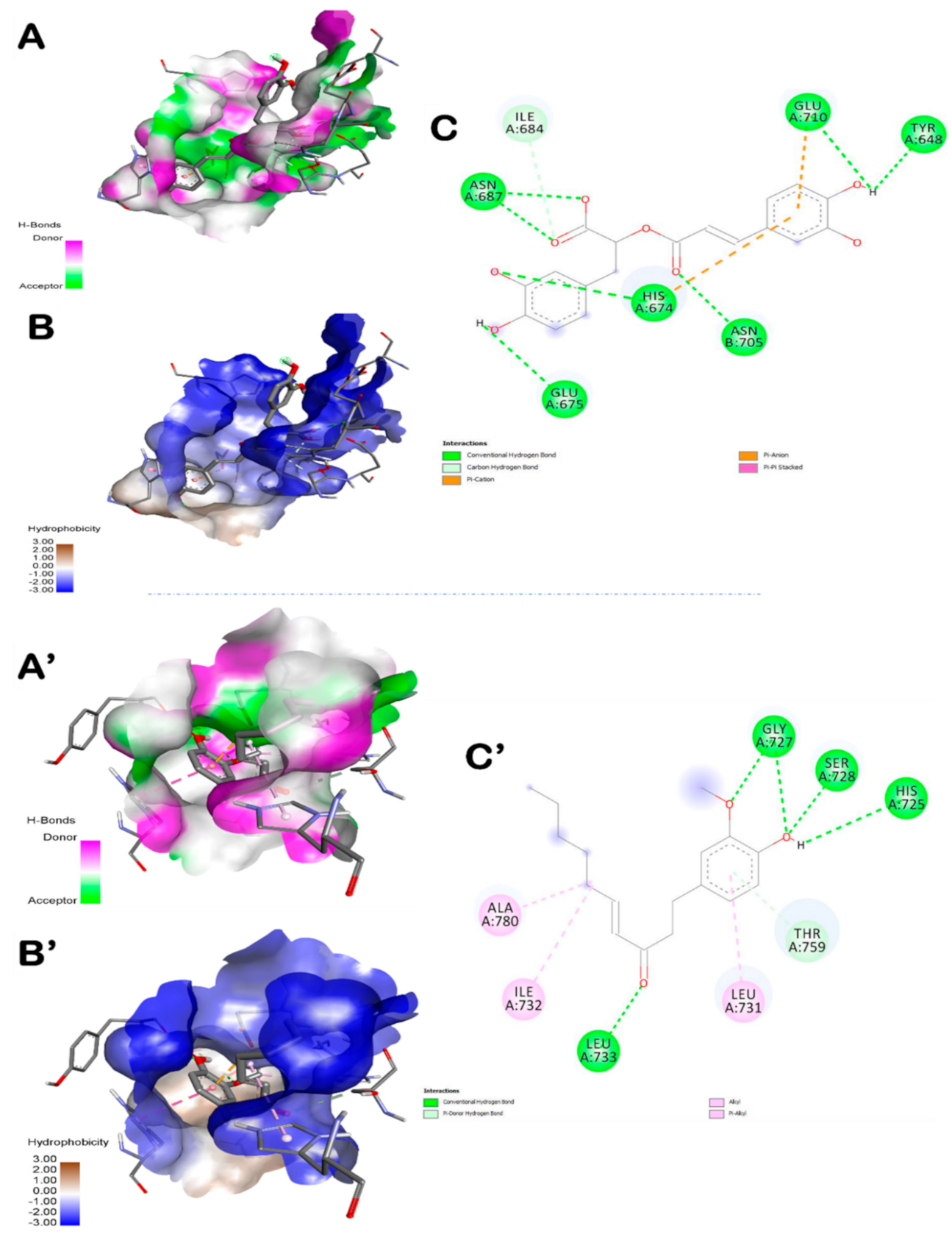 Foods 10 01383 g003 Foods 10 01383 g003