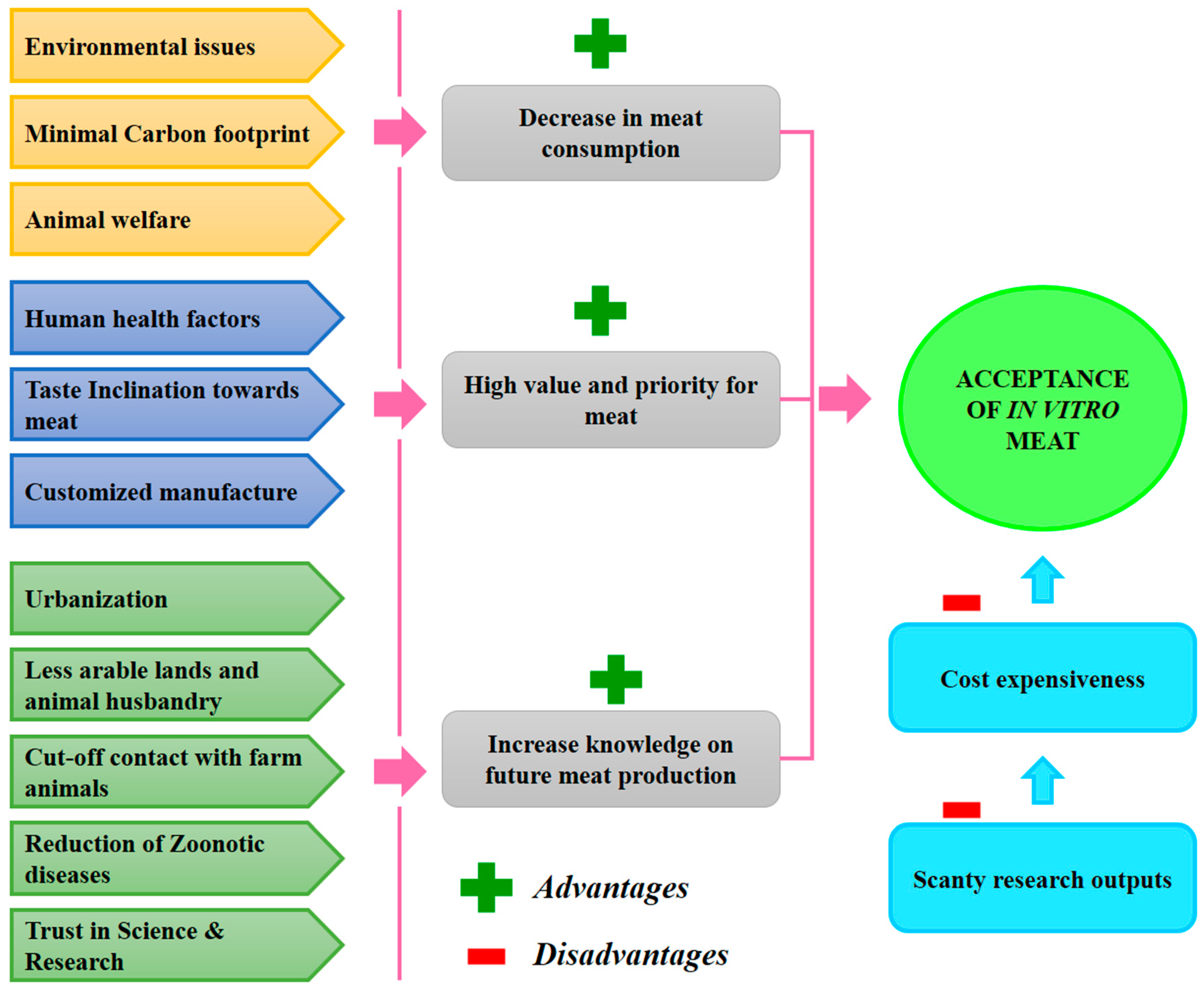 Foods 10 01395 g003 Foods 10 01395 g003