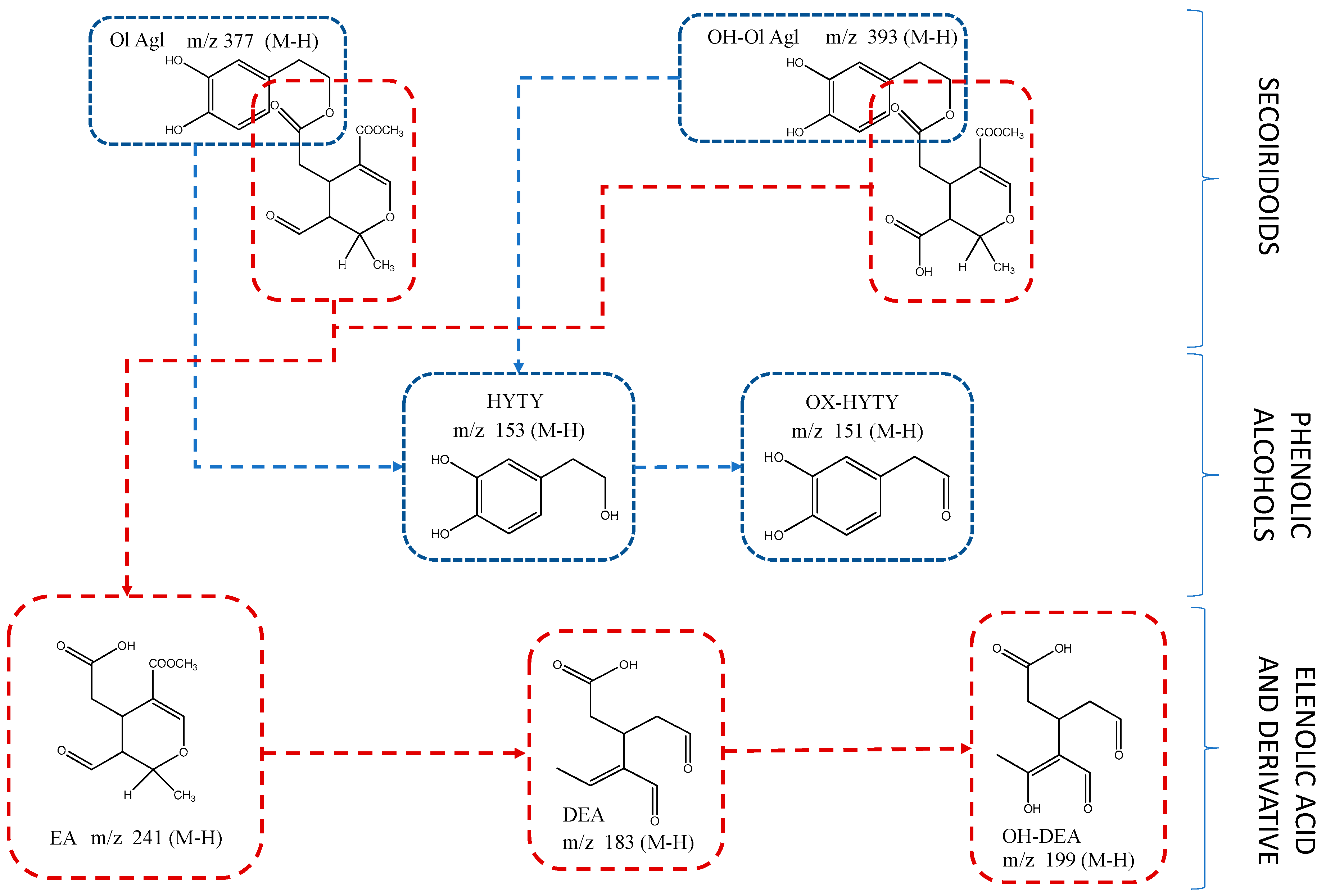 Foods 10 01407 g002 Foods 10 01407 g002