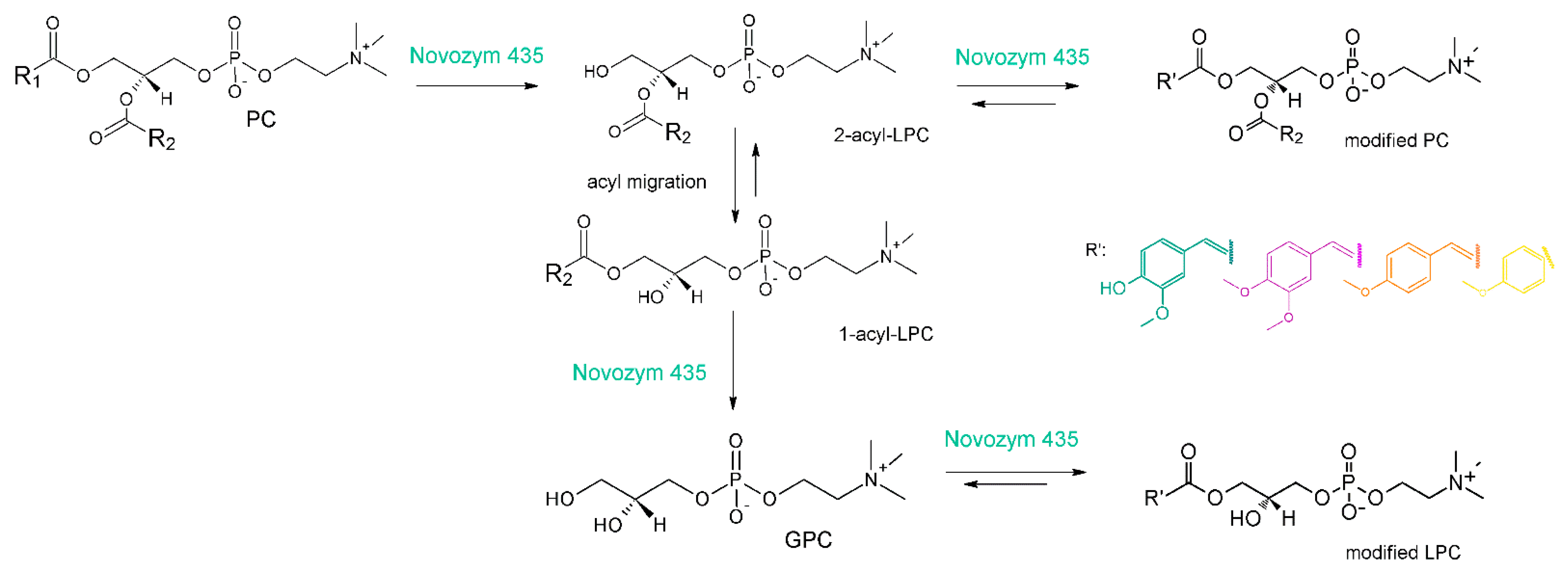 Foods 10 01417 g003 Foods 10 01417 g003