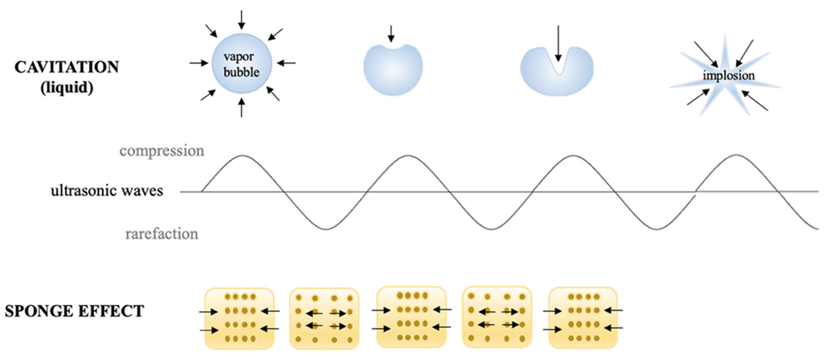 Foods 10 01430 g004 Foods 10 01430 g004