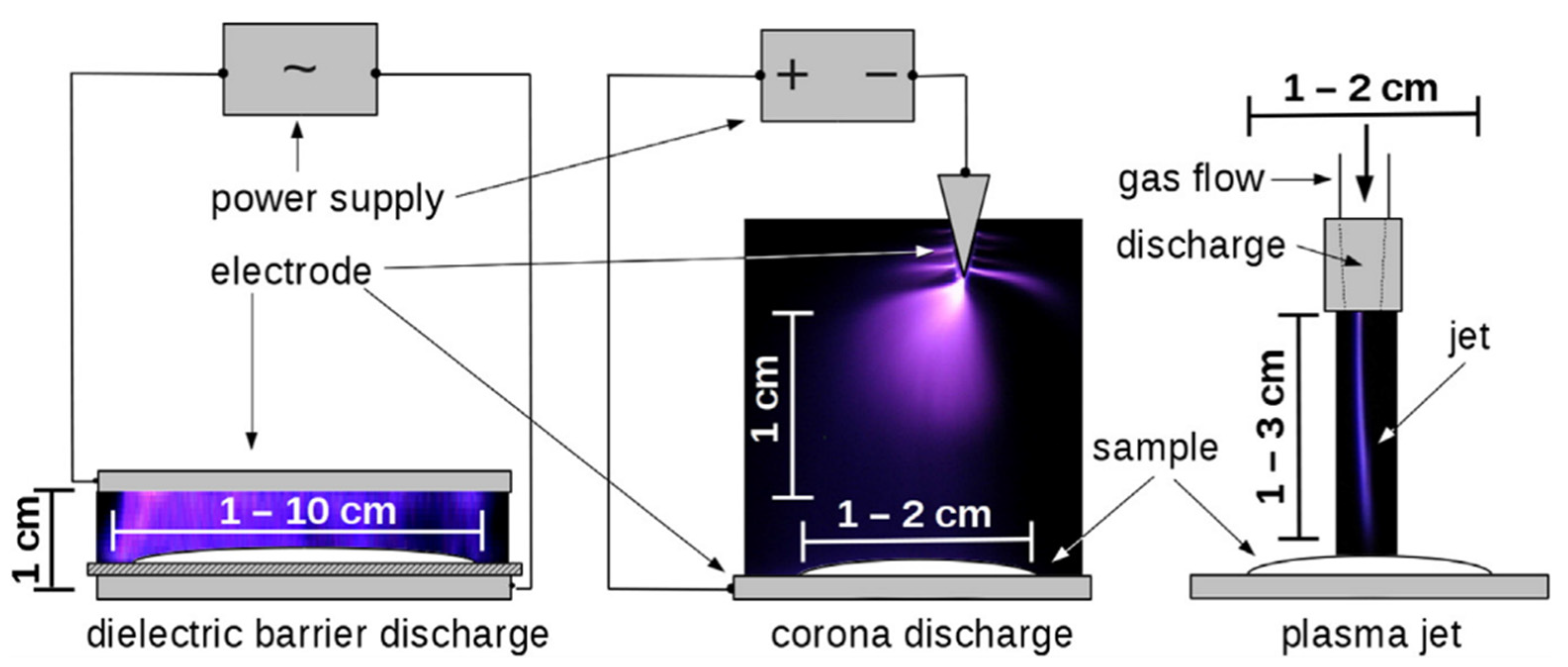 Foods 10 01430 g007 Foods 10 01430 g007