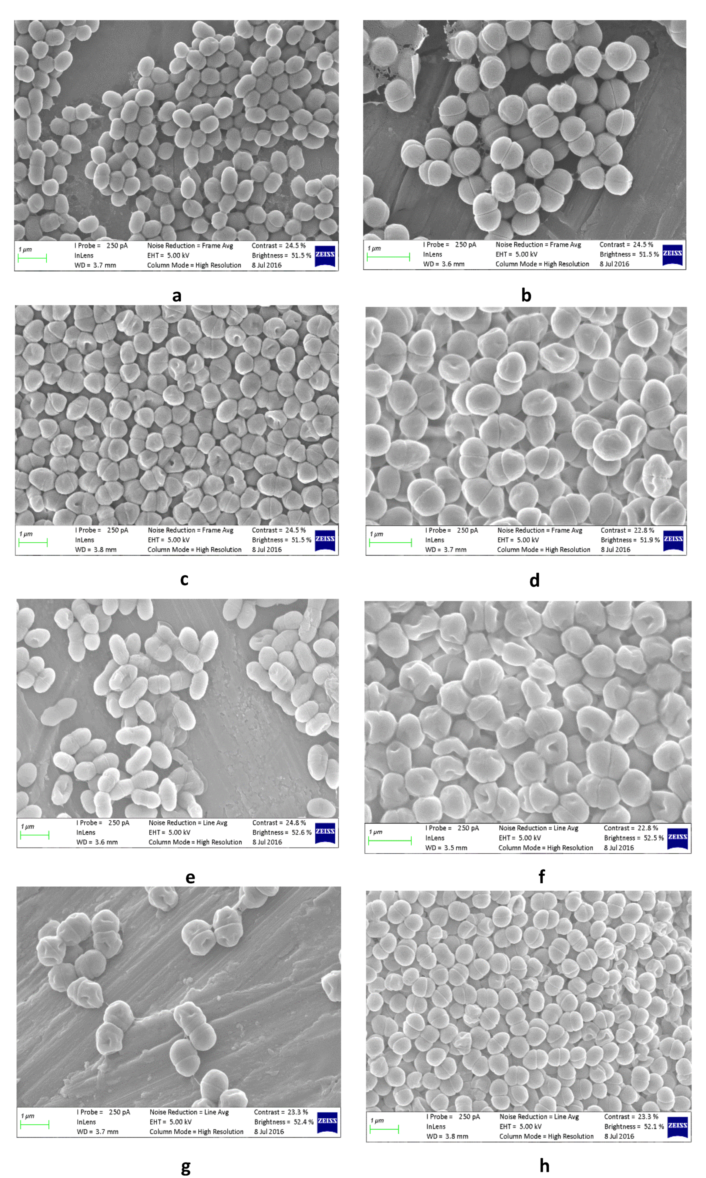 Foods 10 01447 g005 Foods 10 01447 g005