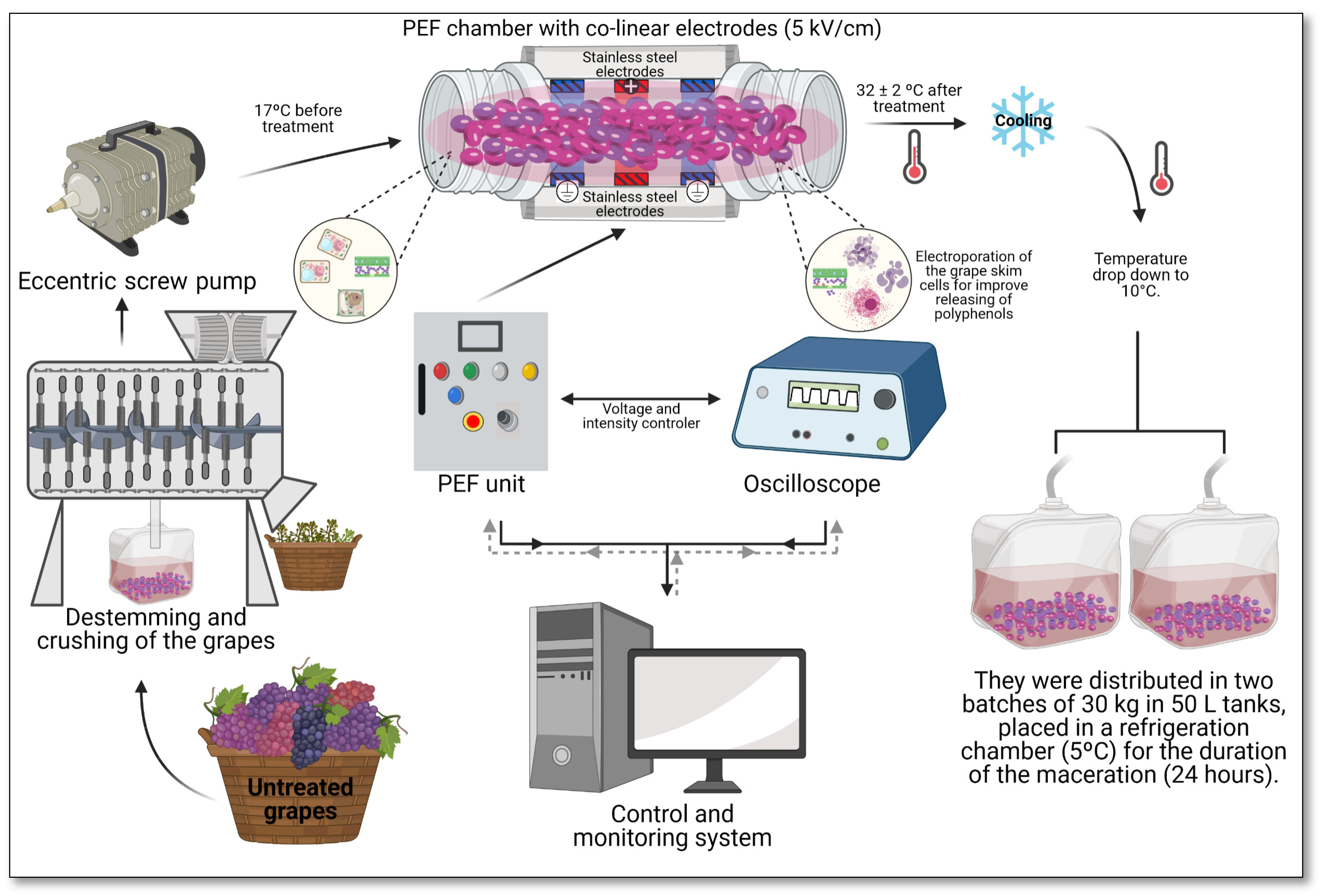 Foods 10 01472 g001 550