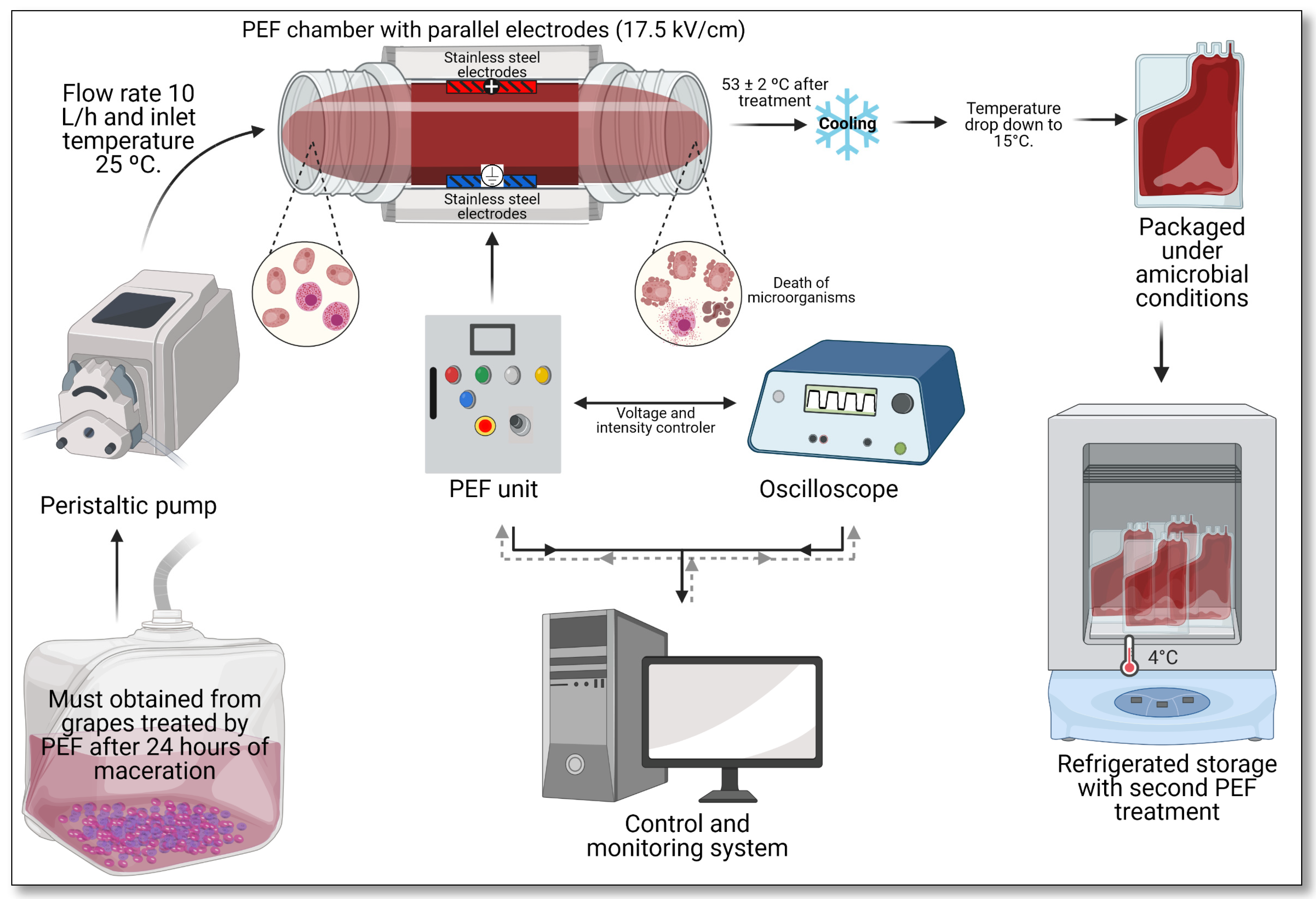 Foods 10 01472 g002 550