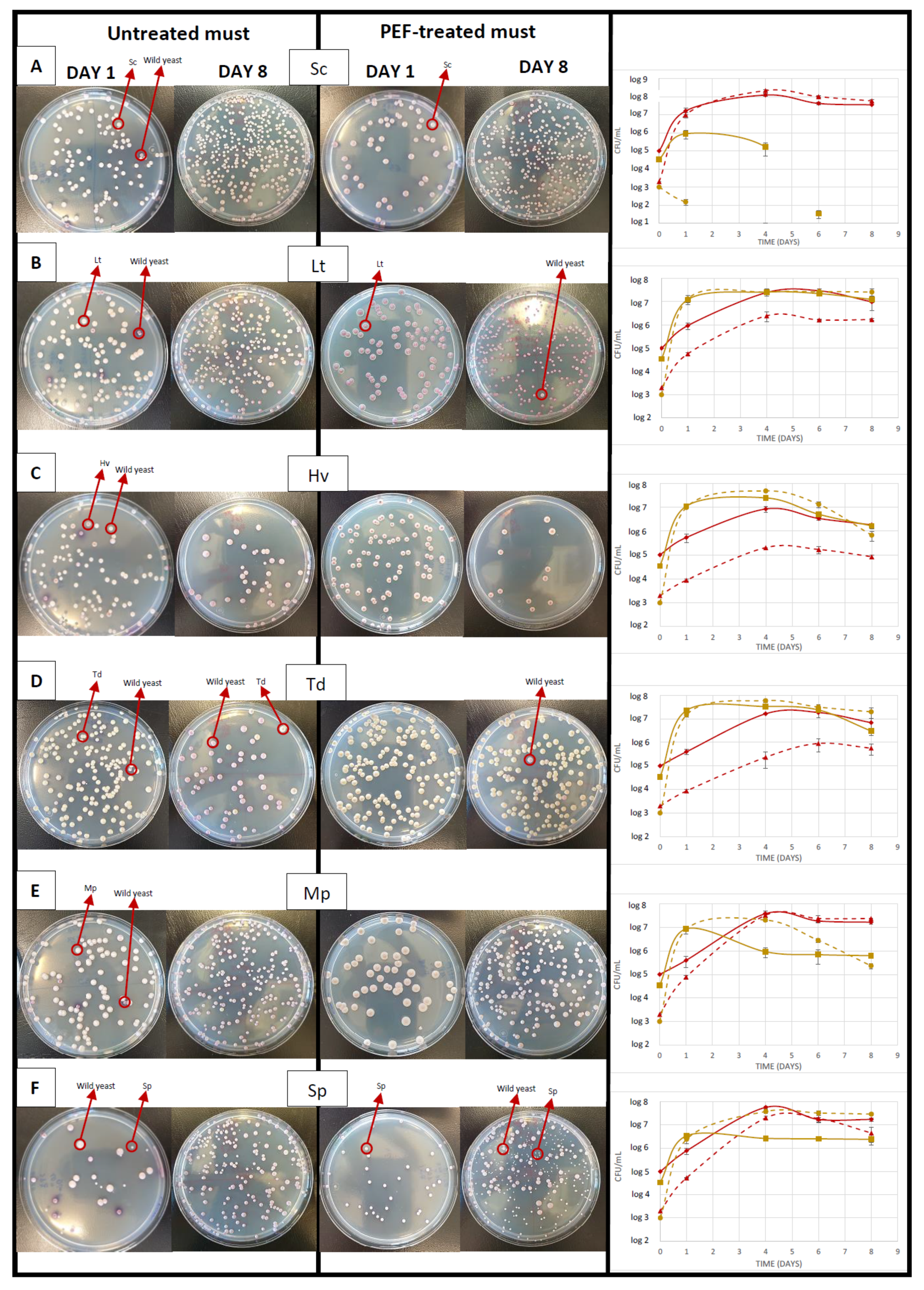 Foods 10 01472 g003 550