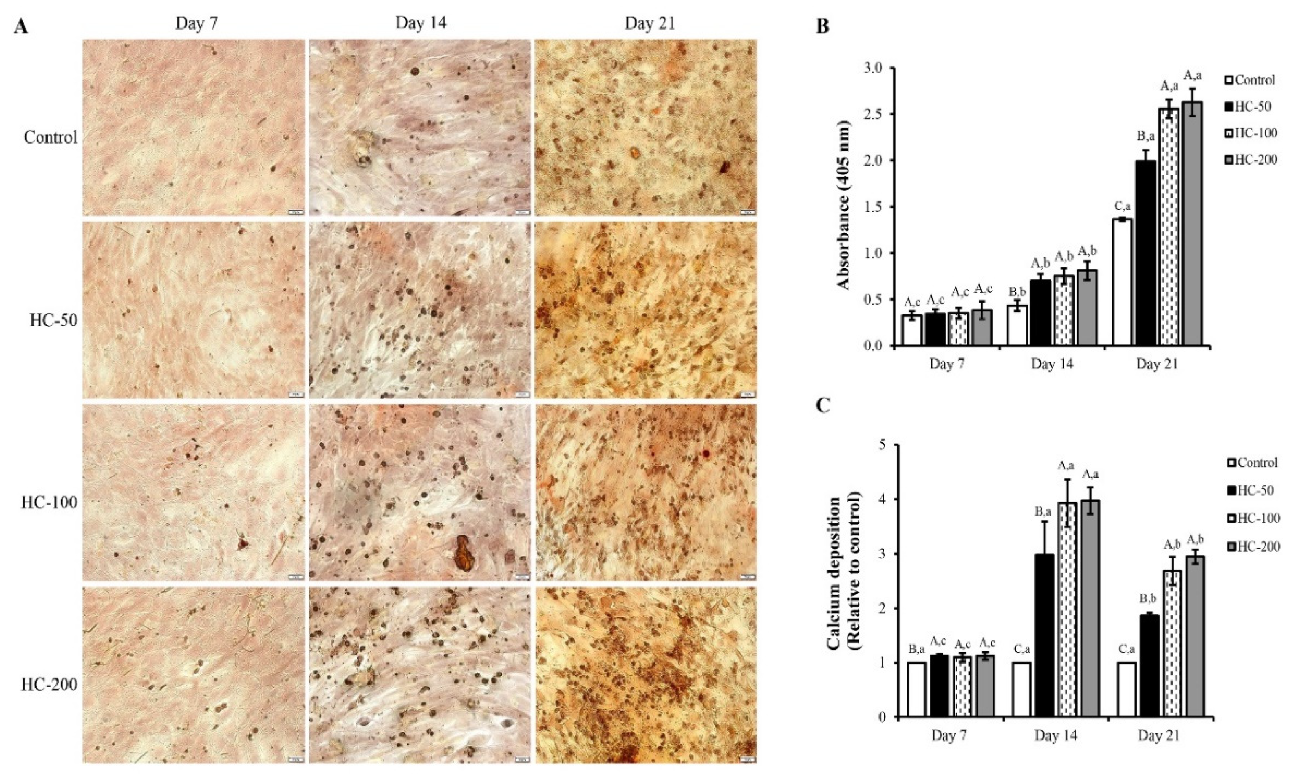 Foods 10 01476 g004 550