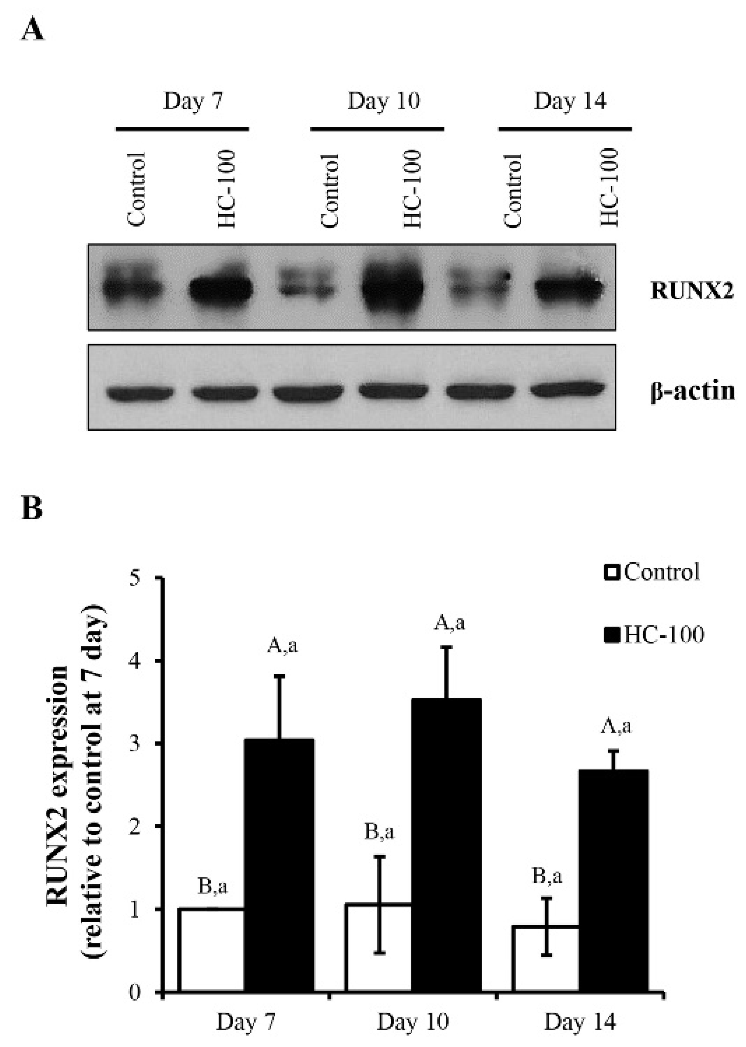 Foods 10 01476 g005 550