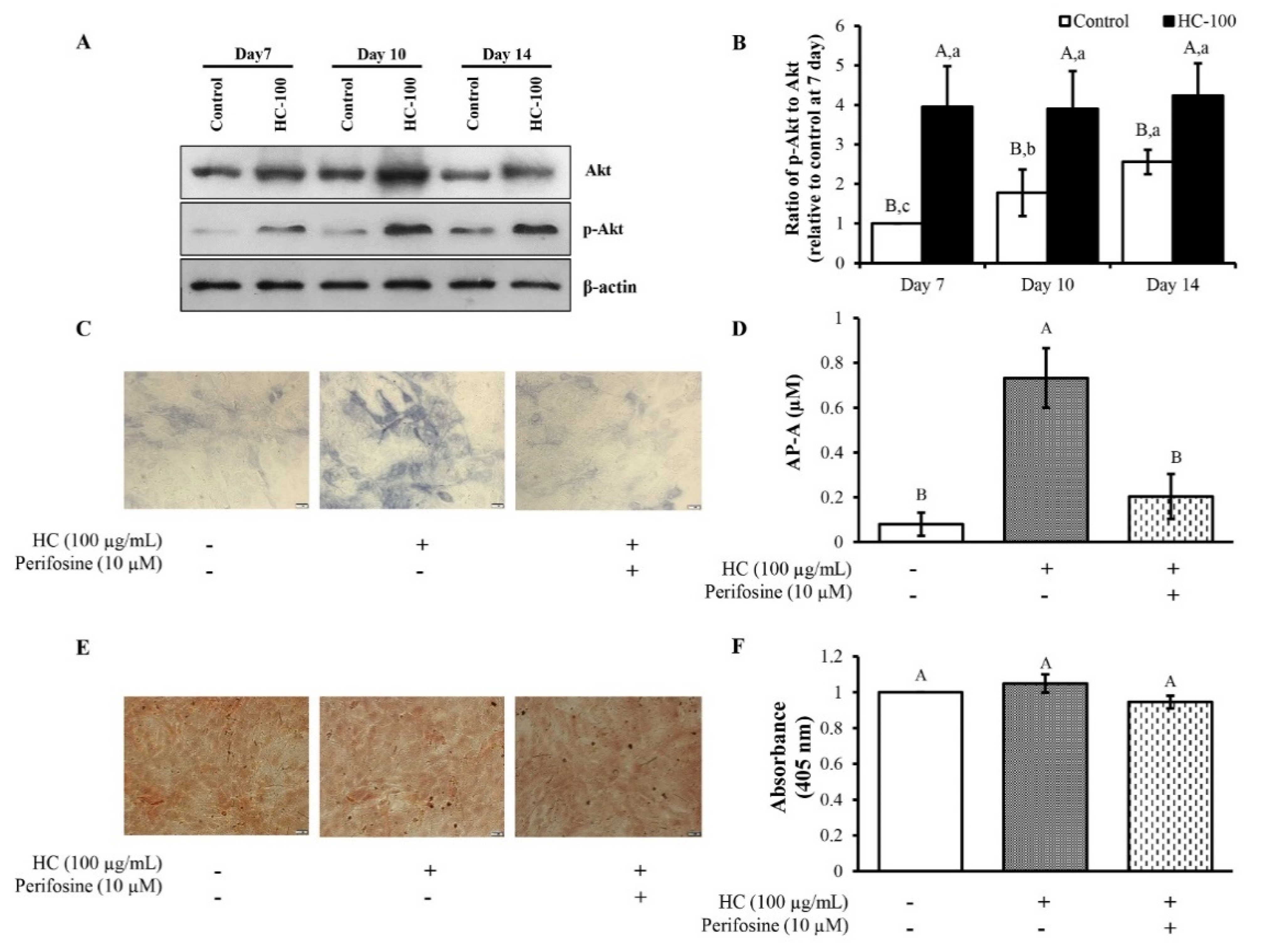 Foods 10 01476 g006 550