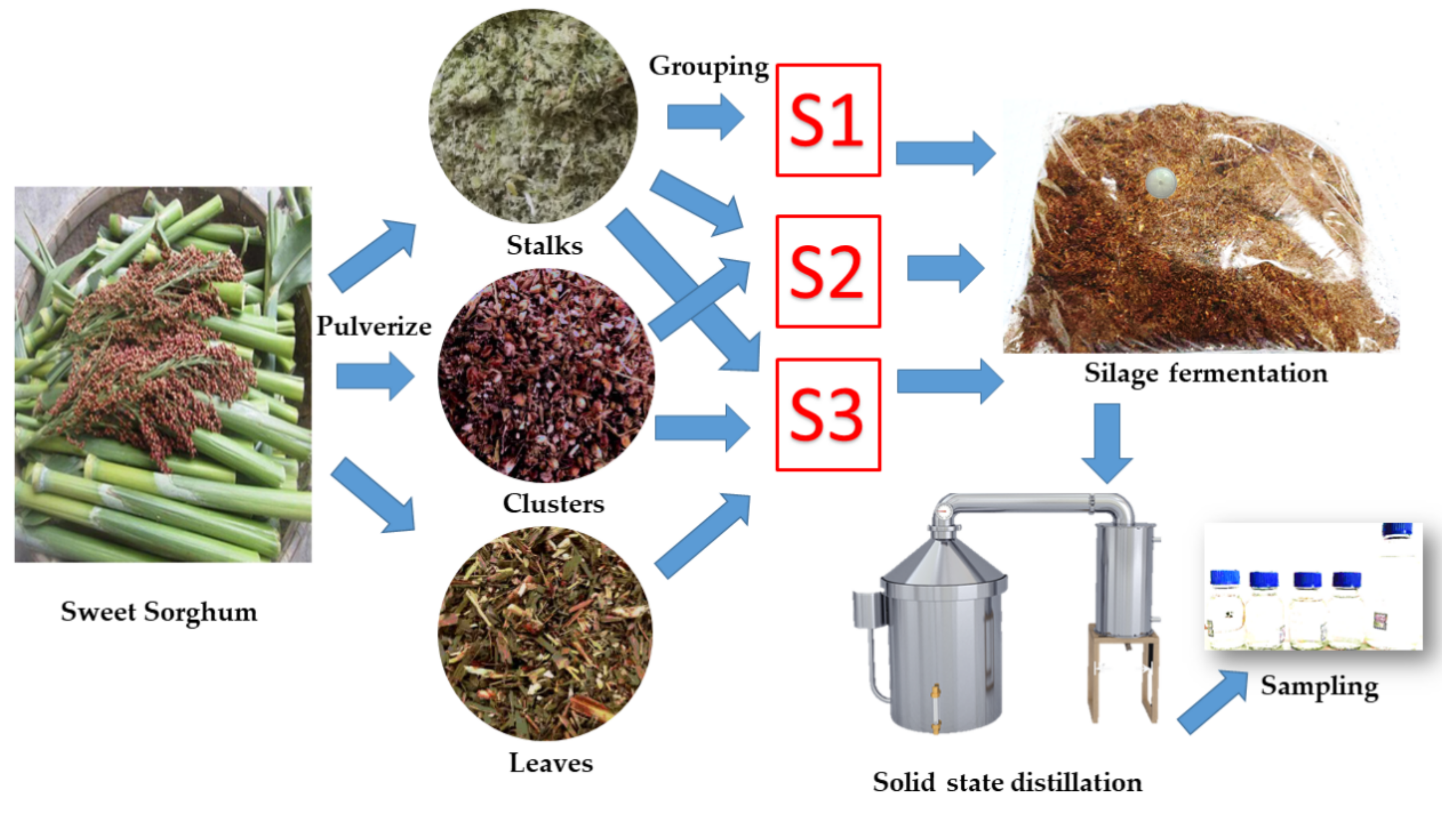 Silage Fermentation on Sweet Sorghum Whole Plant for Fen Silage Fermentation on Sweet Sorghum Whole Plant for Fen