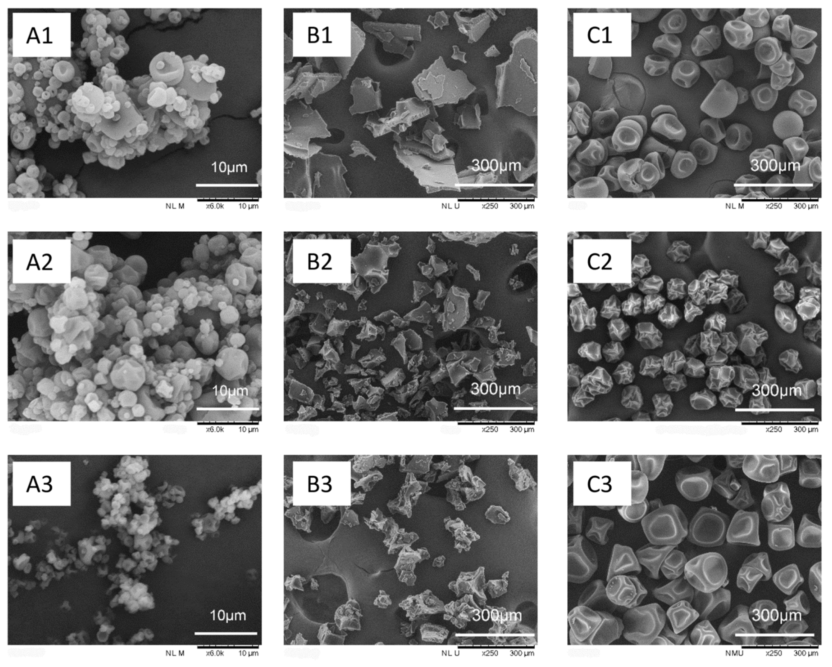 Foods 10 01522 g002 550