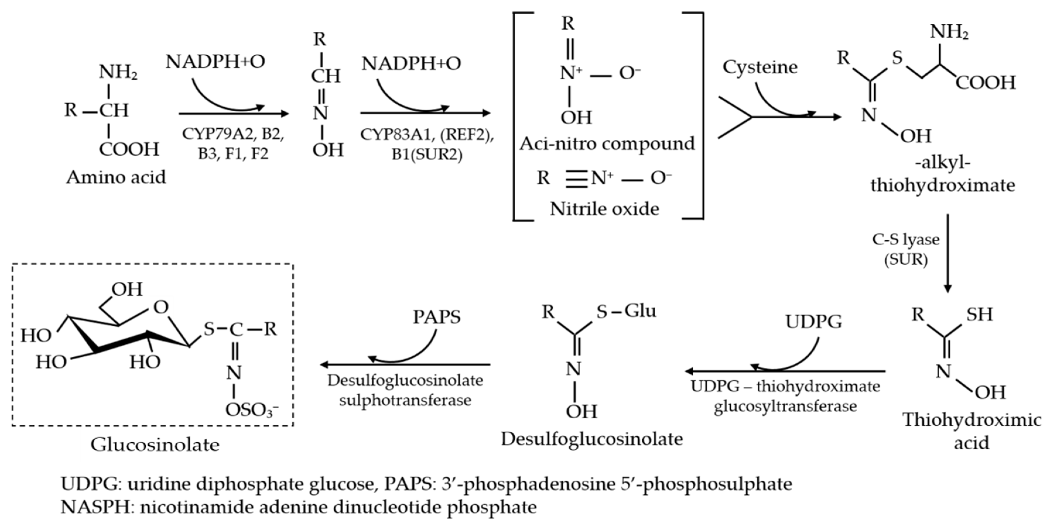 Foods 10 01524 g001 Foods 10 01524 g001