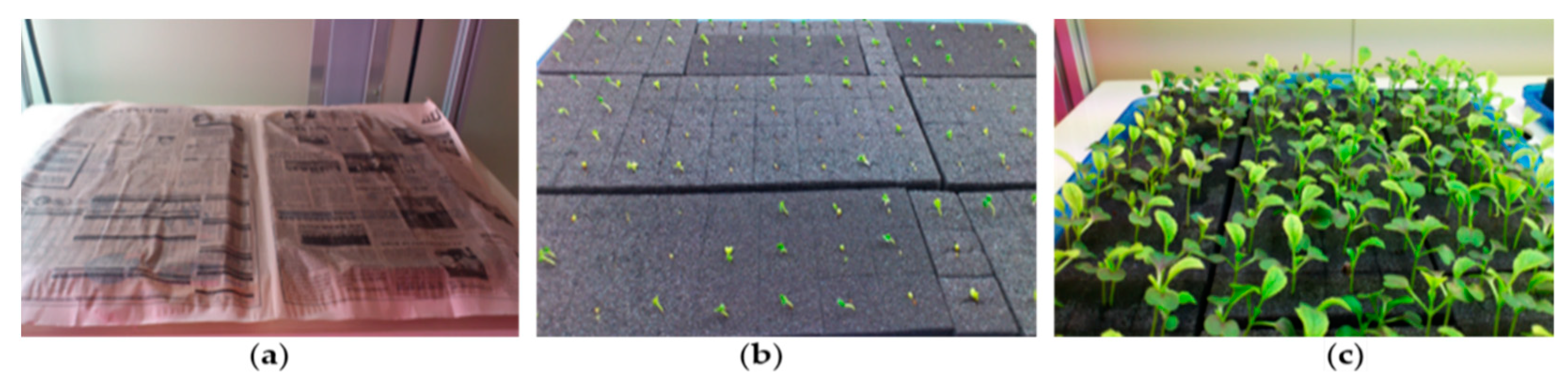 Foods 10 01524 g003 Foods 10 01524 g003