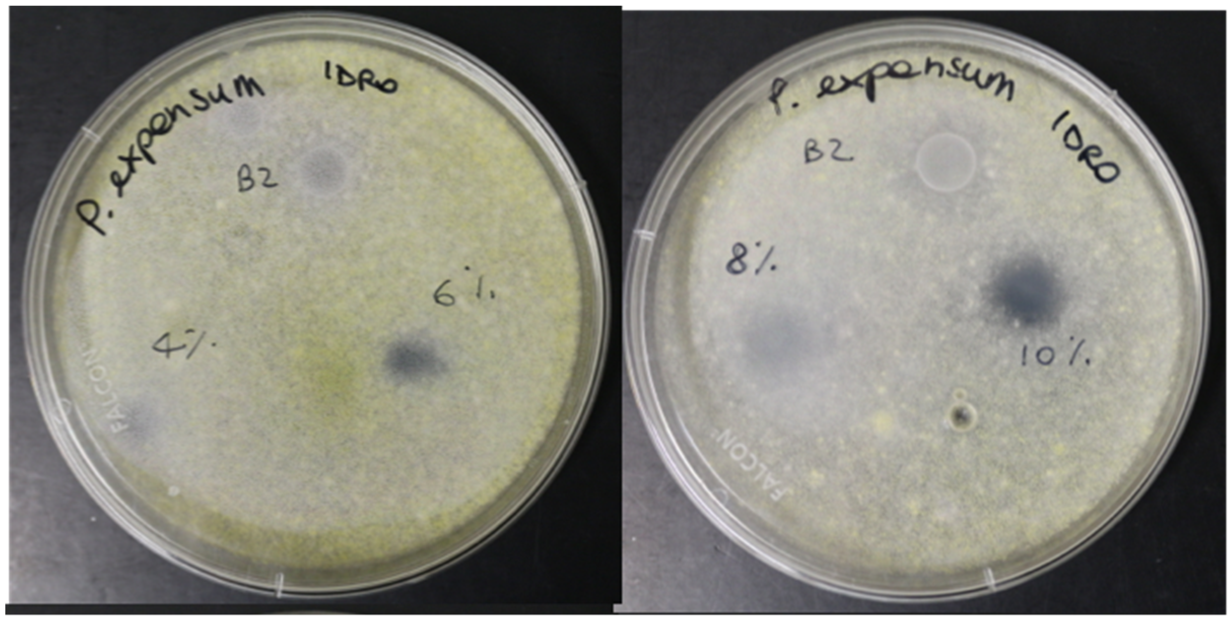 Foods 10 01528 g005 550