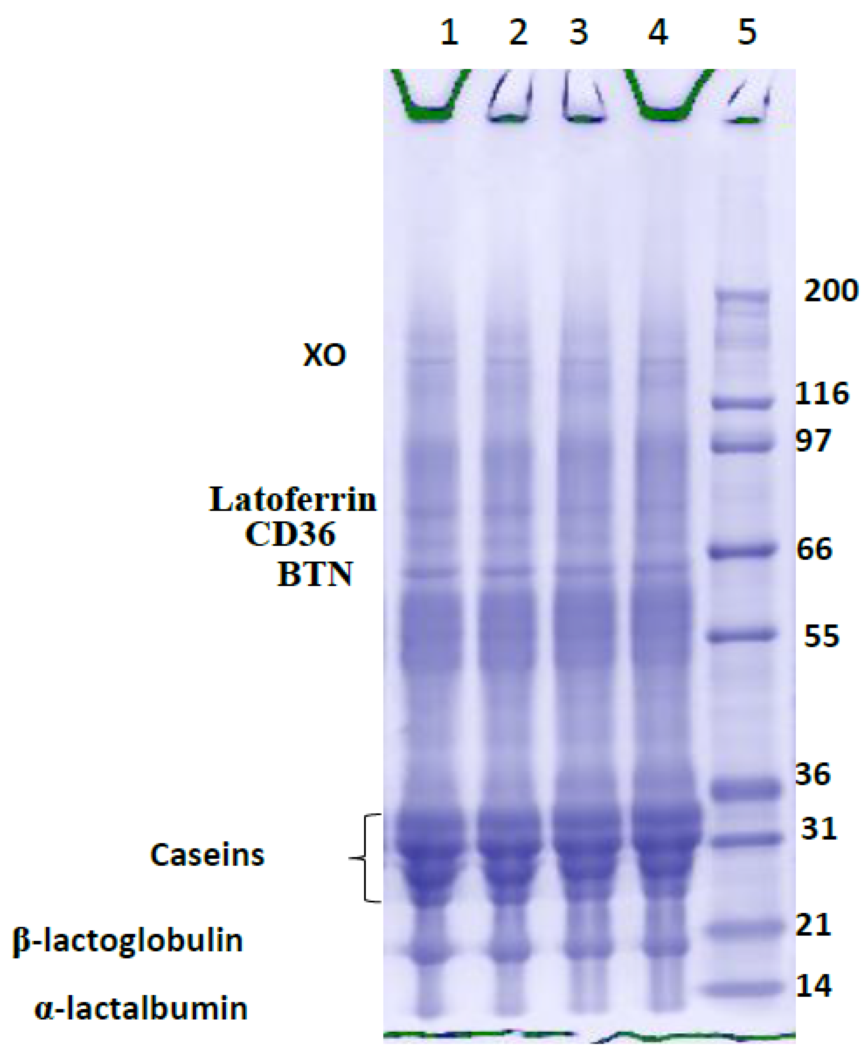 Foods 10 01534 g002 Foods 10 01534 g002