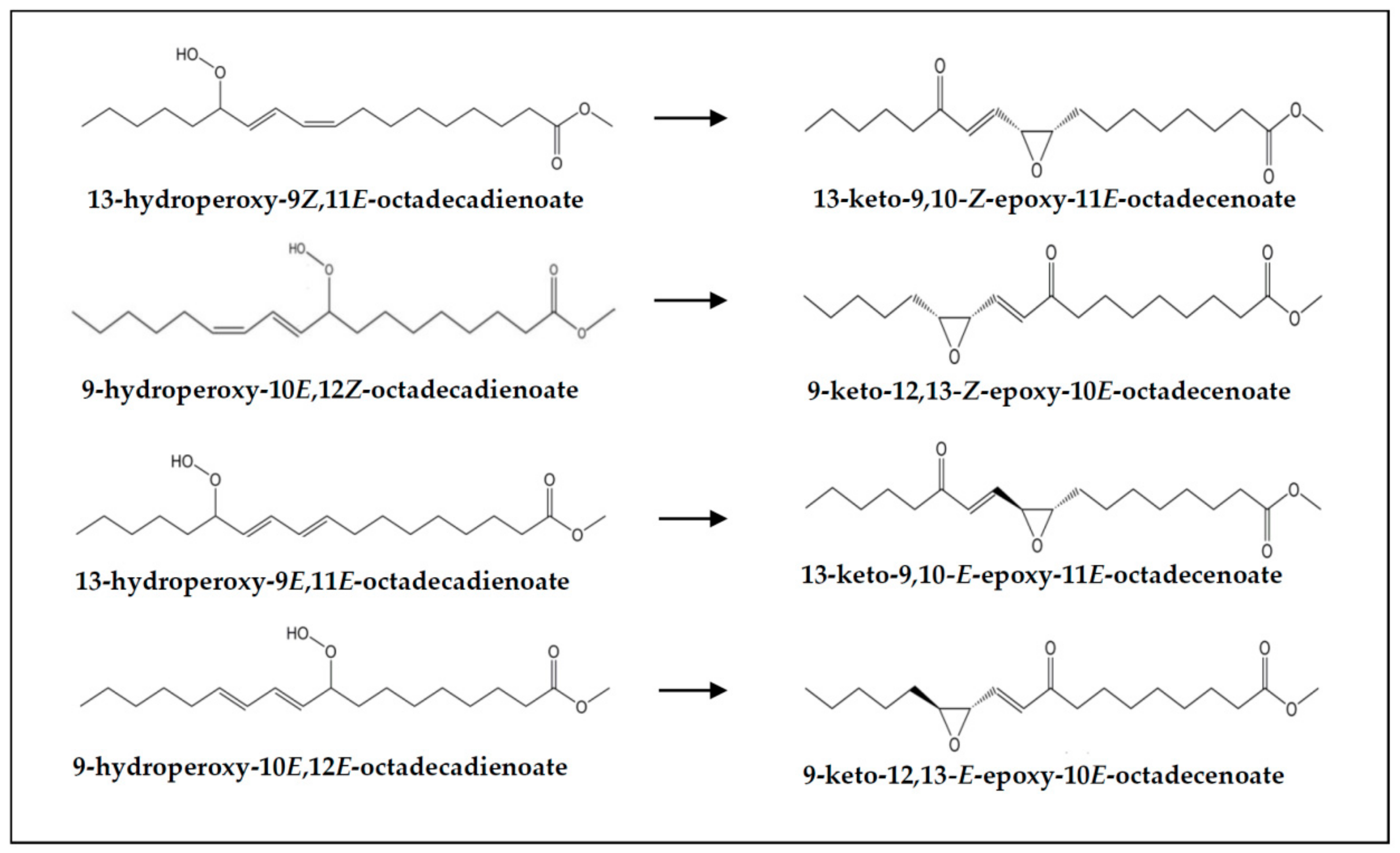 Foods 10 01573 g008 Foods 10 01573 g008