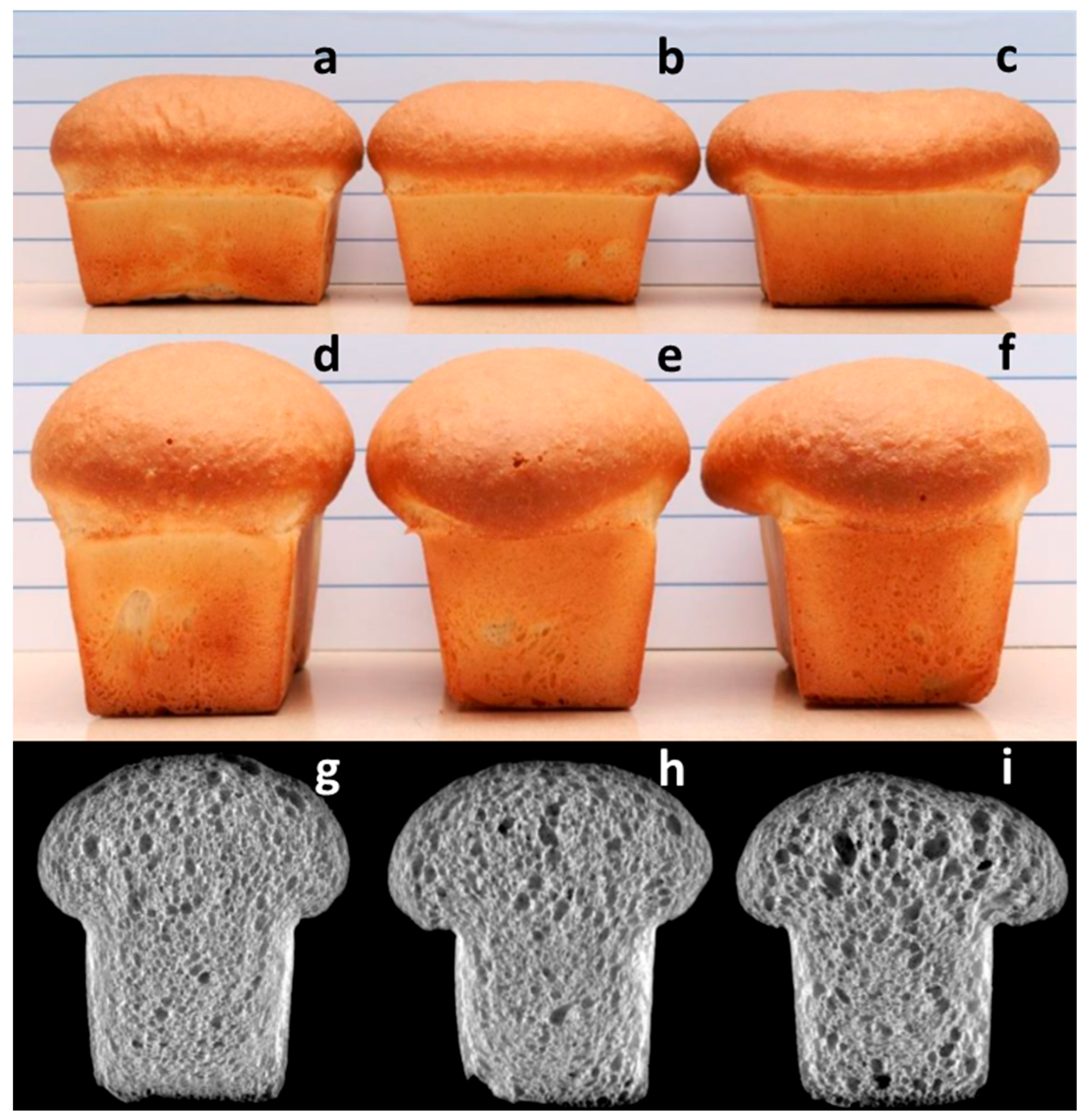 Foods 10 01585 g002 550