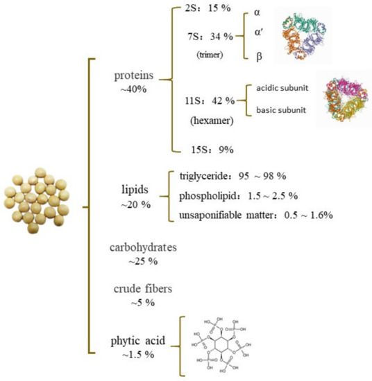Foods Free FullText Changes of Soybean Protein during Tofu Processing