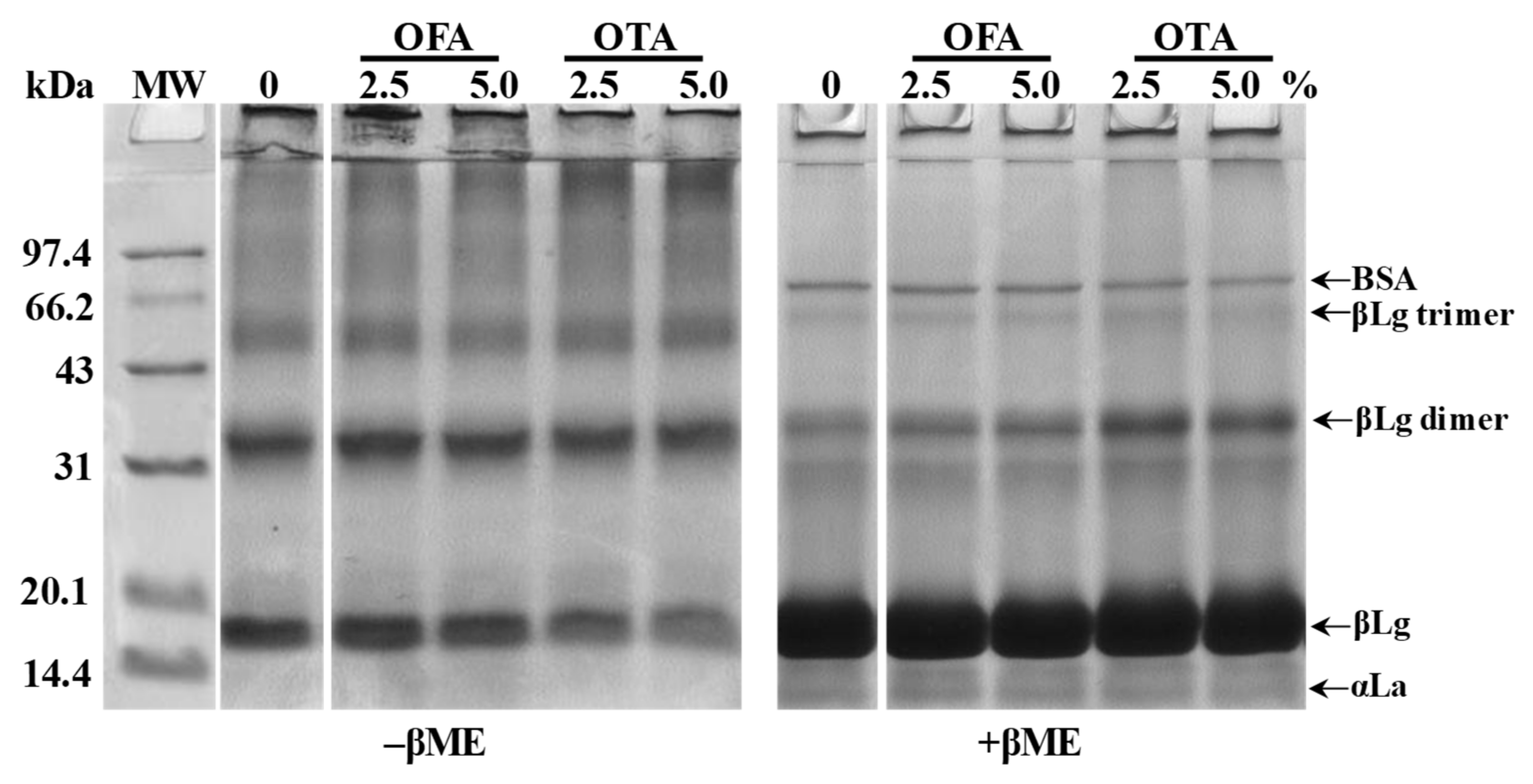 Foods 10 01599 g001 550