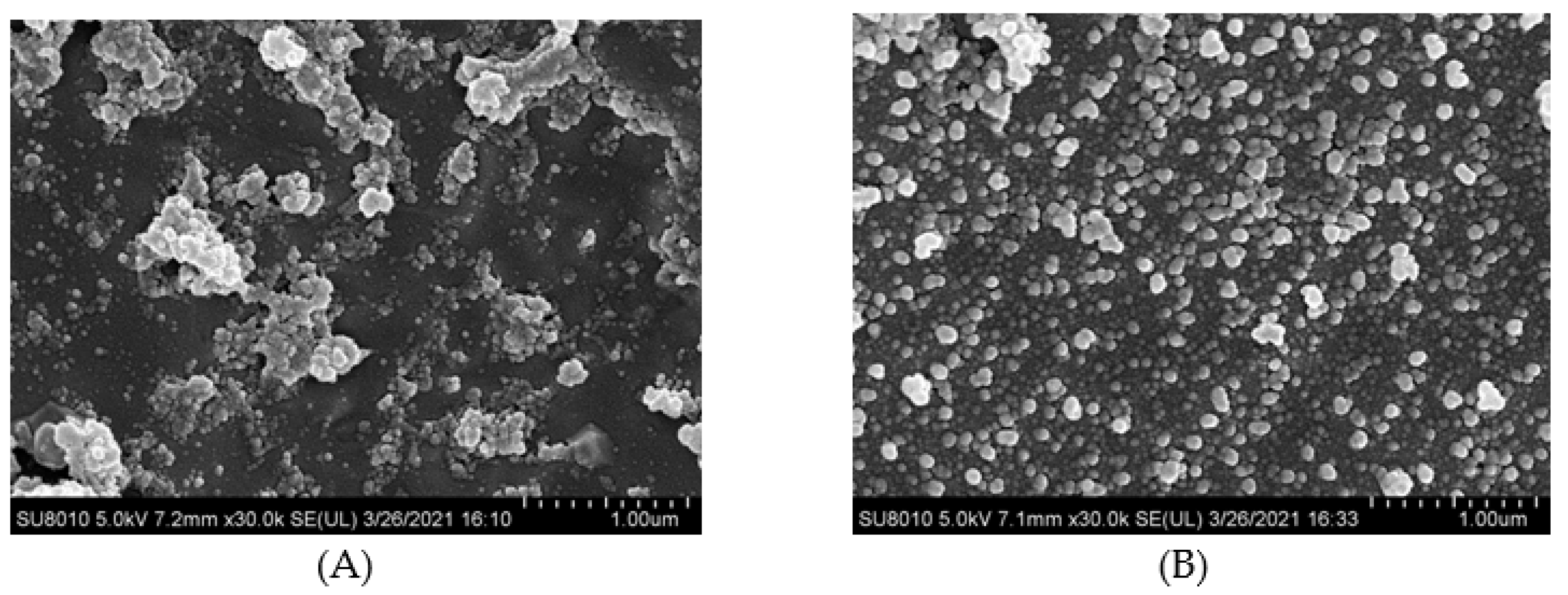 Foods 10 01618 g006a