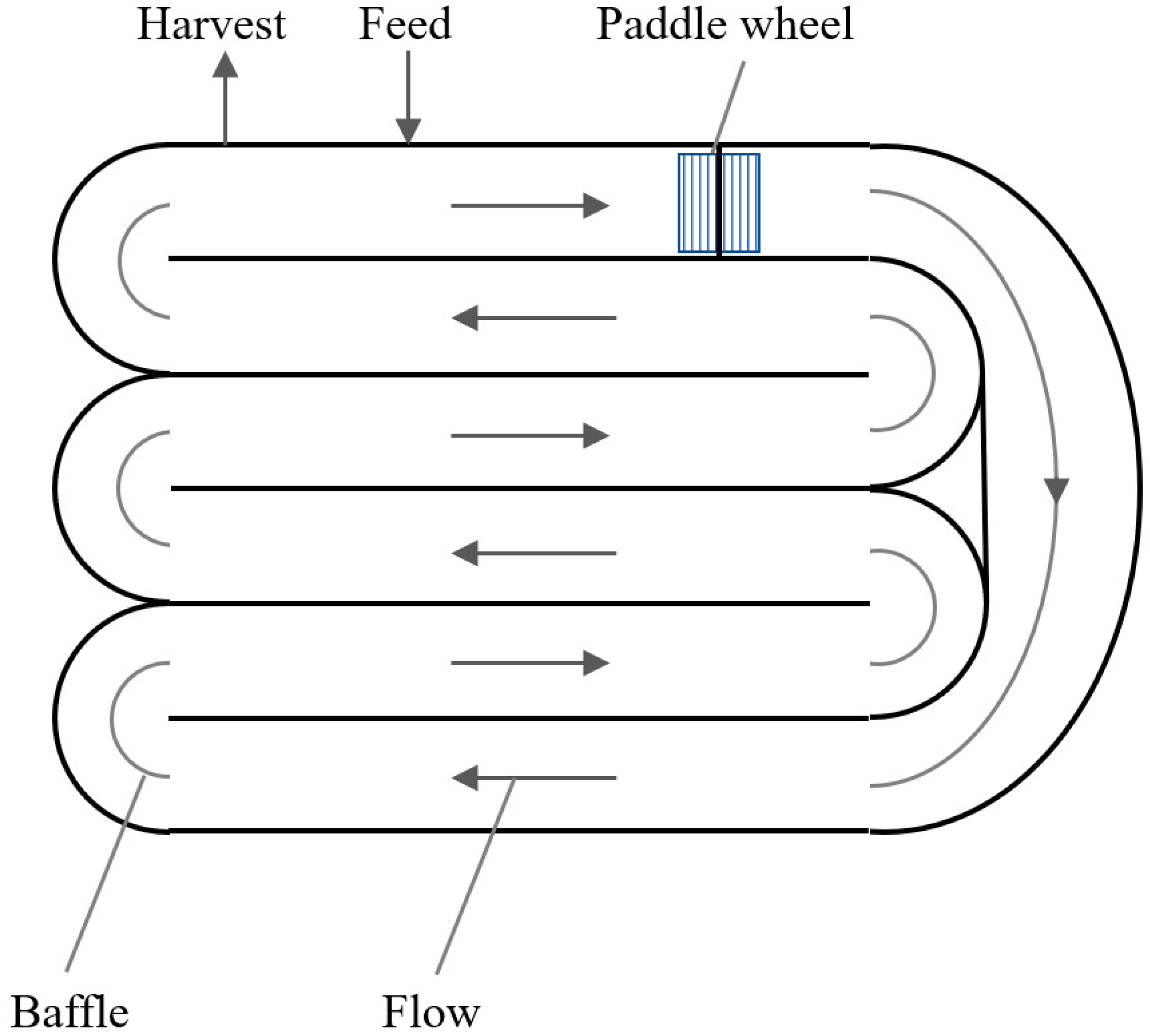 Foods 10 01626 g002