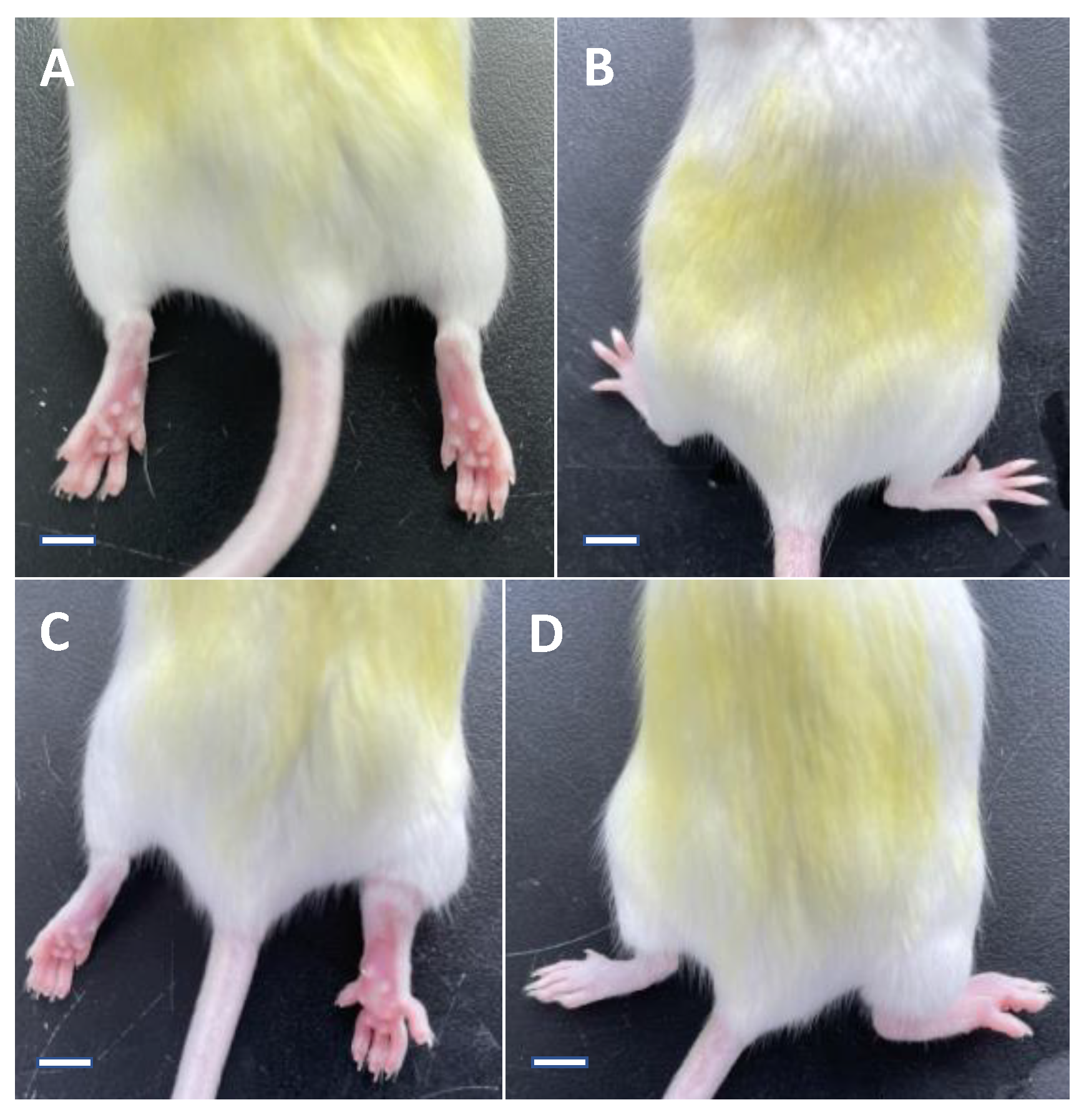 Foods 10 01638 g001 Foods 10 01638 g001