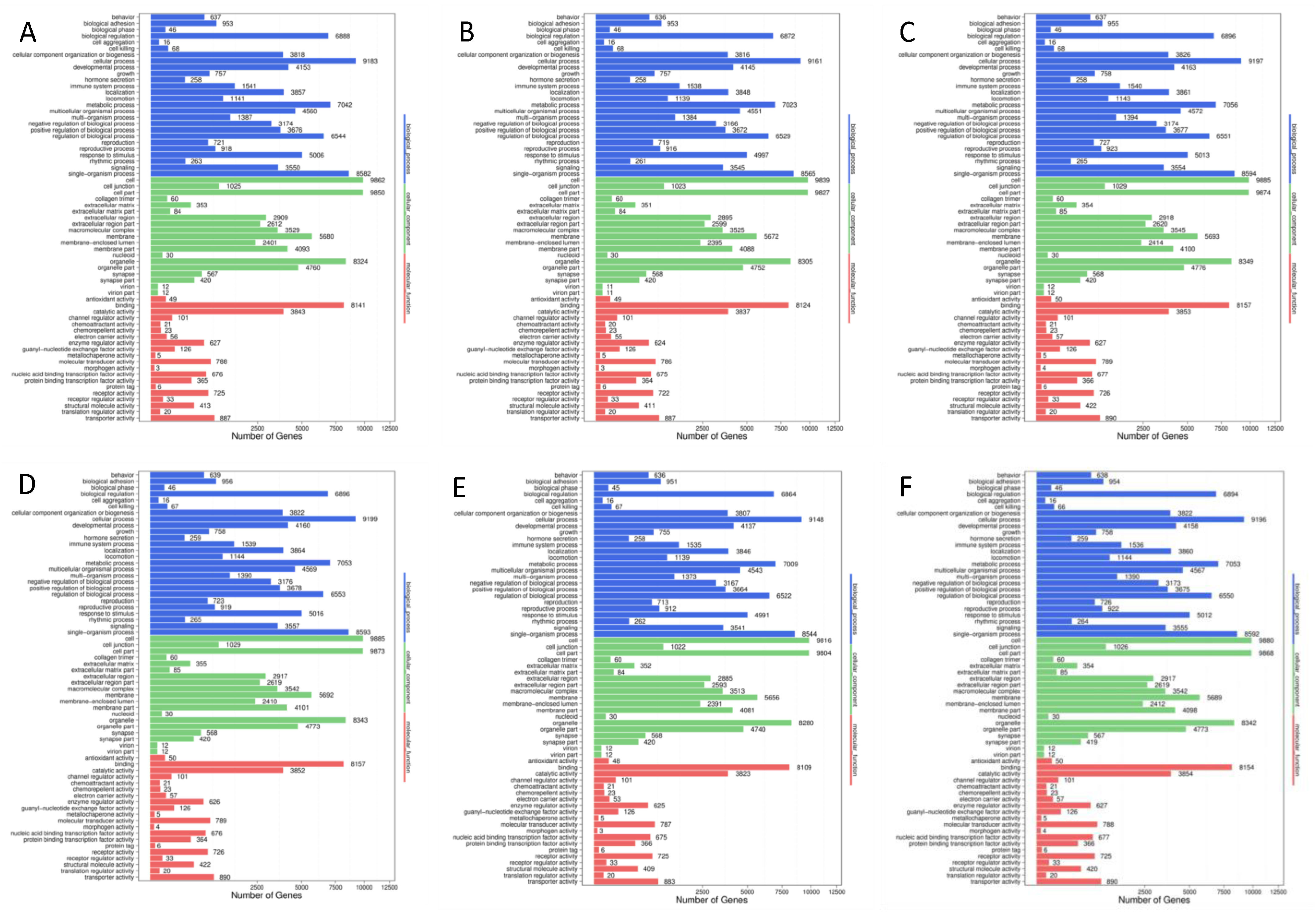 Foods 10 01638 g004 Foods 10 01638 g004