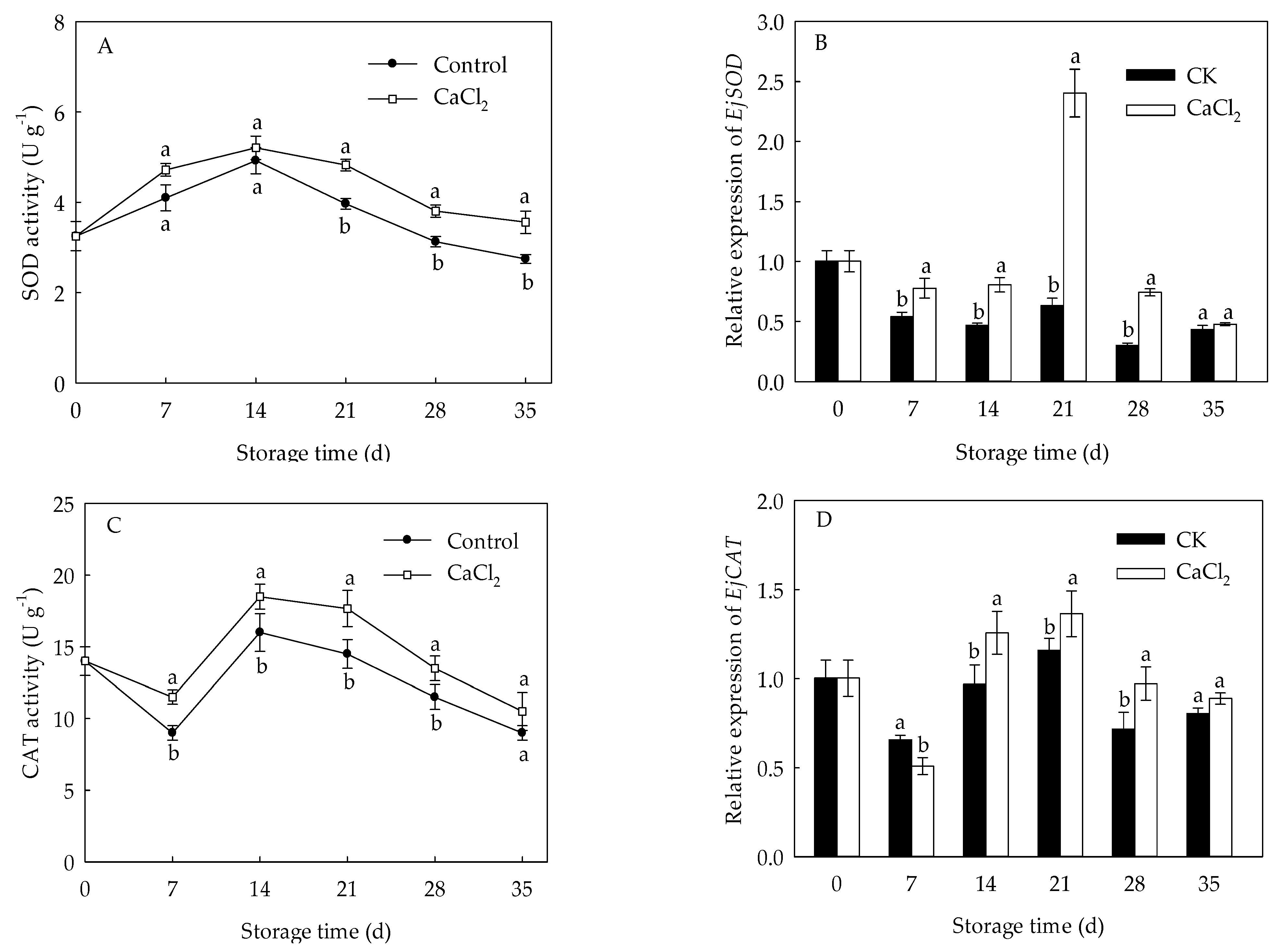 Foods 10 01662 g004 550