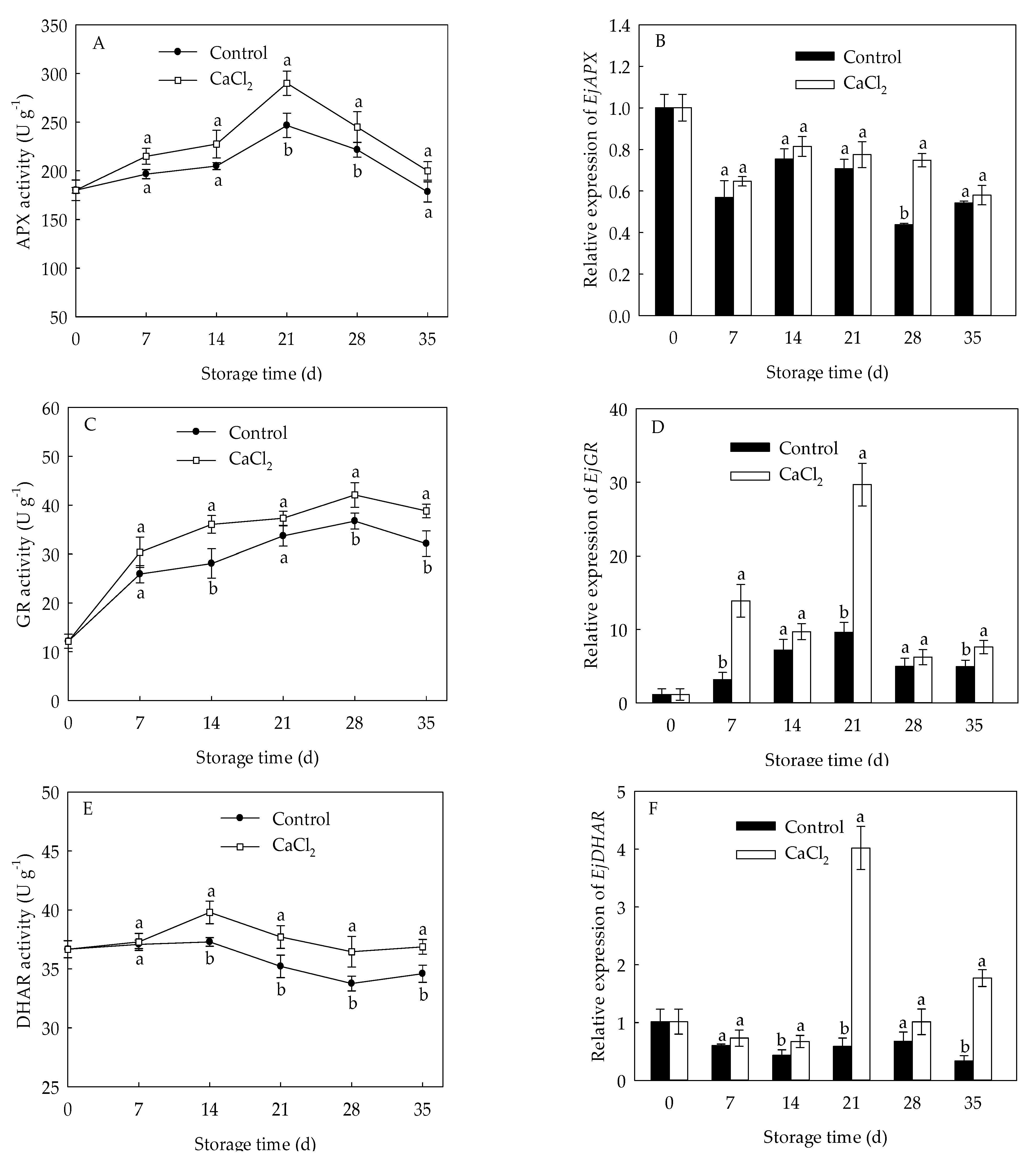 Foods 10 01662 g006a 550