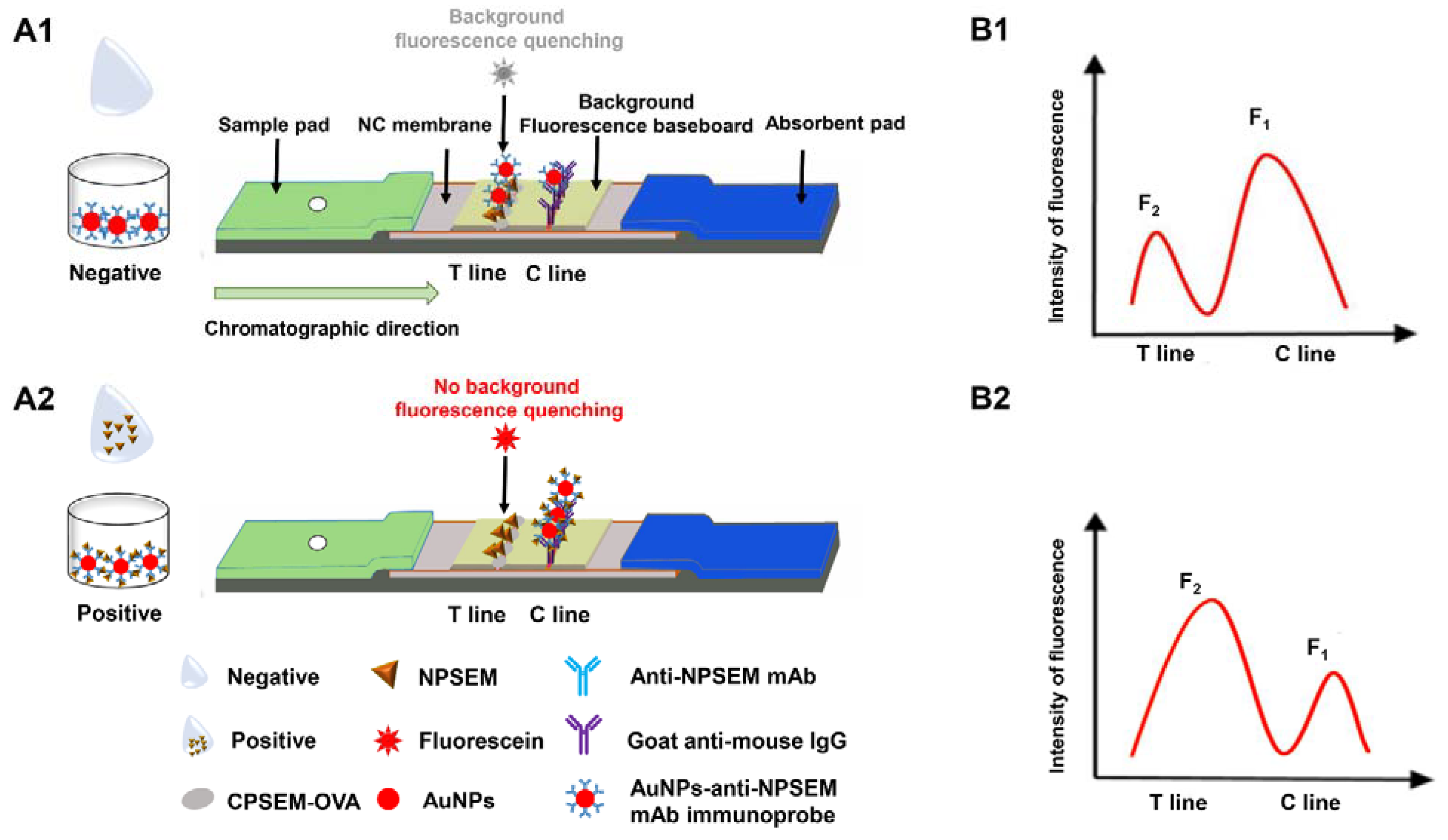 Foods 10 01668 g002 550