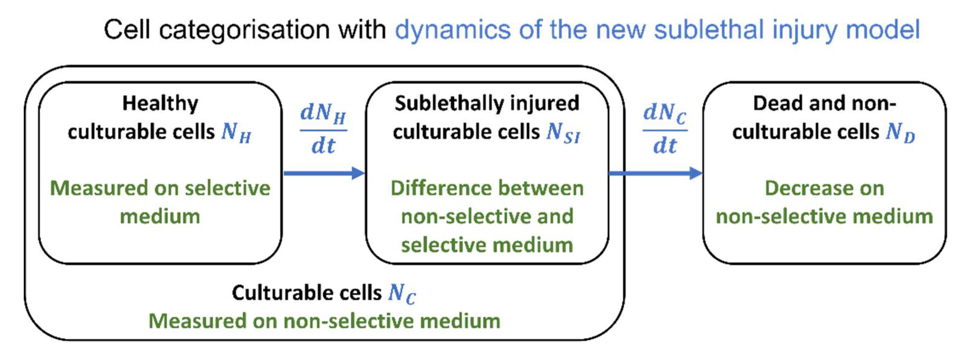 Foods 10 01674 g002 550