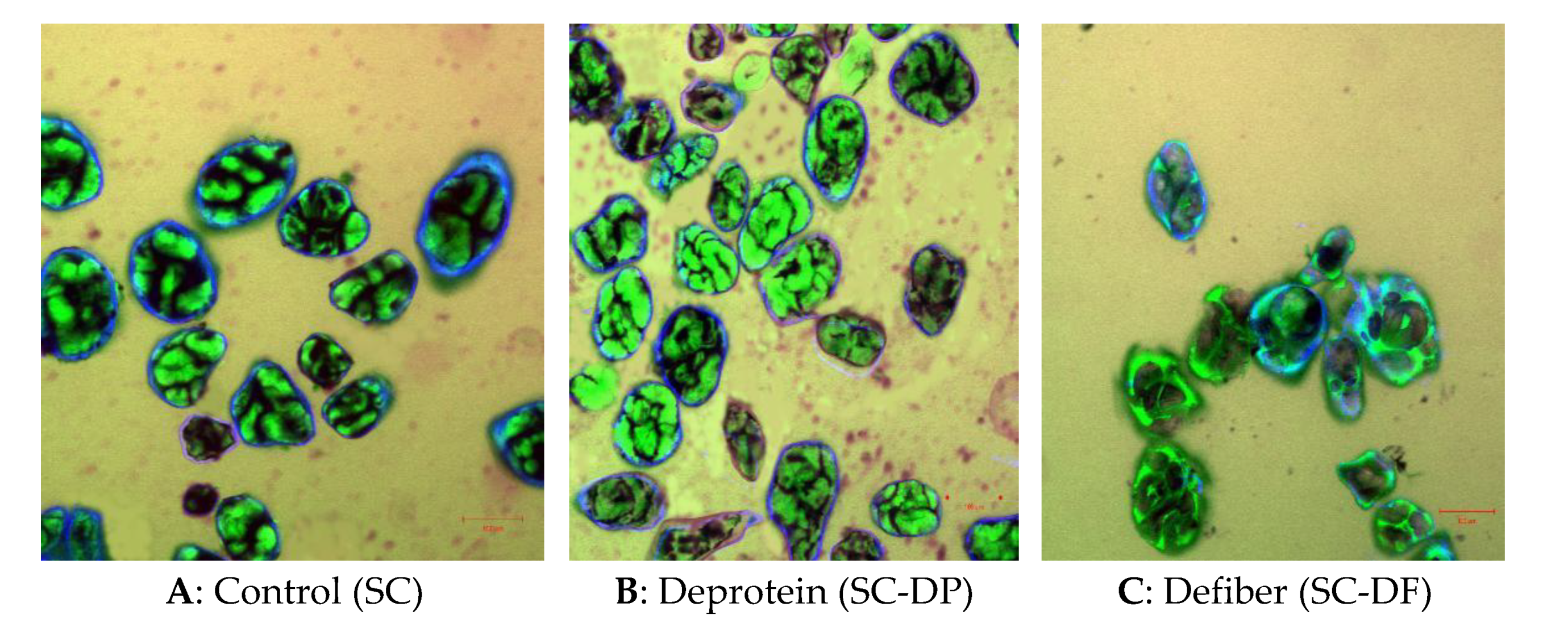 Foods 10 01685 g006 550
