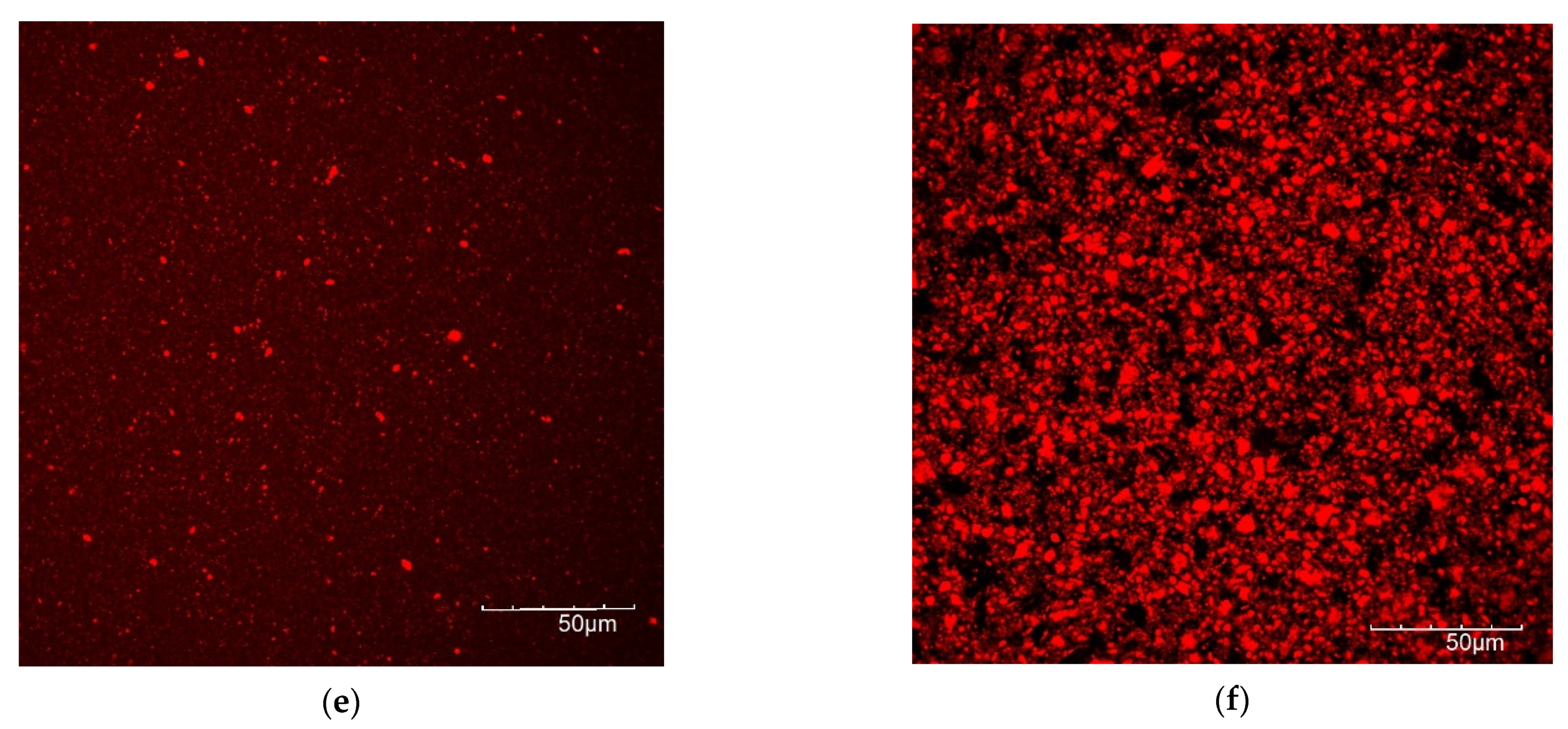 Foods 10 01692 g007b Foods 10 01692 g007b