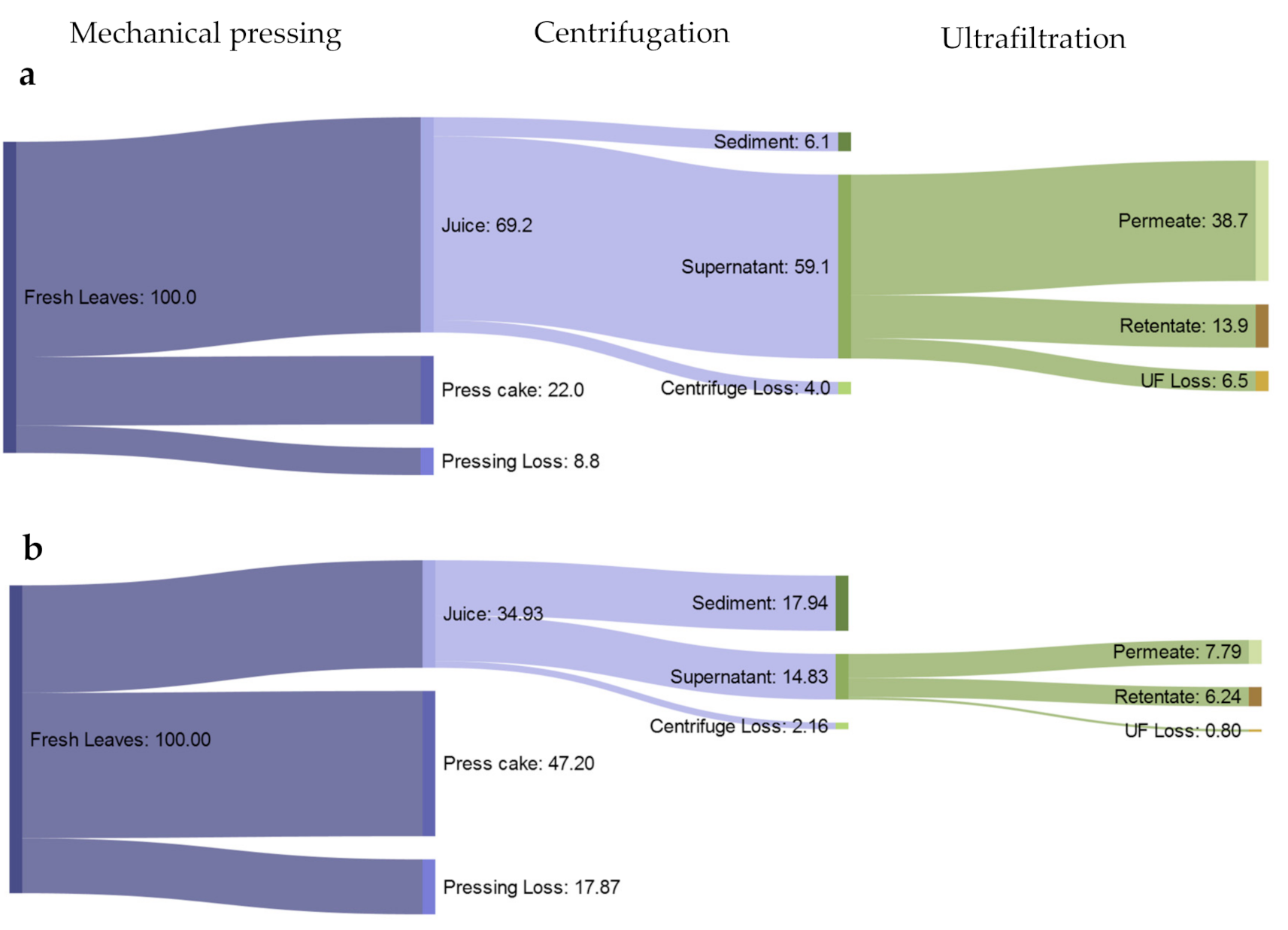 Foods 10 01714 g002 Foods 10 01714 g002