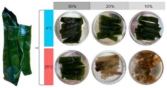 Microbial Regulation of Deterioration and Preservation of