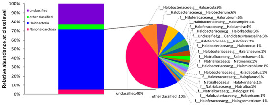 Microbial Regulation of Deterioration and Preservation of Salted