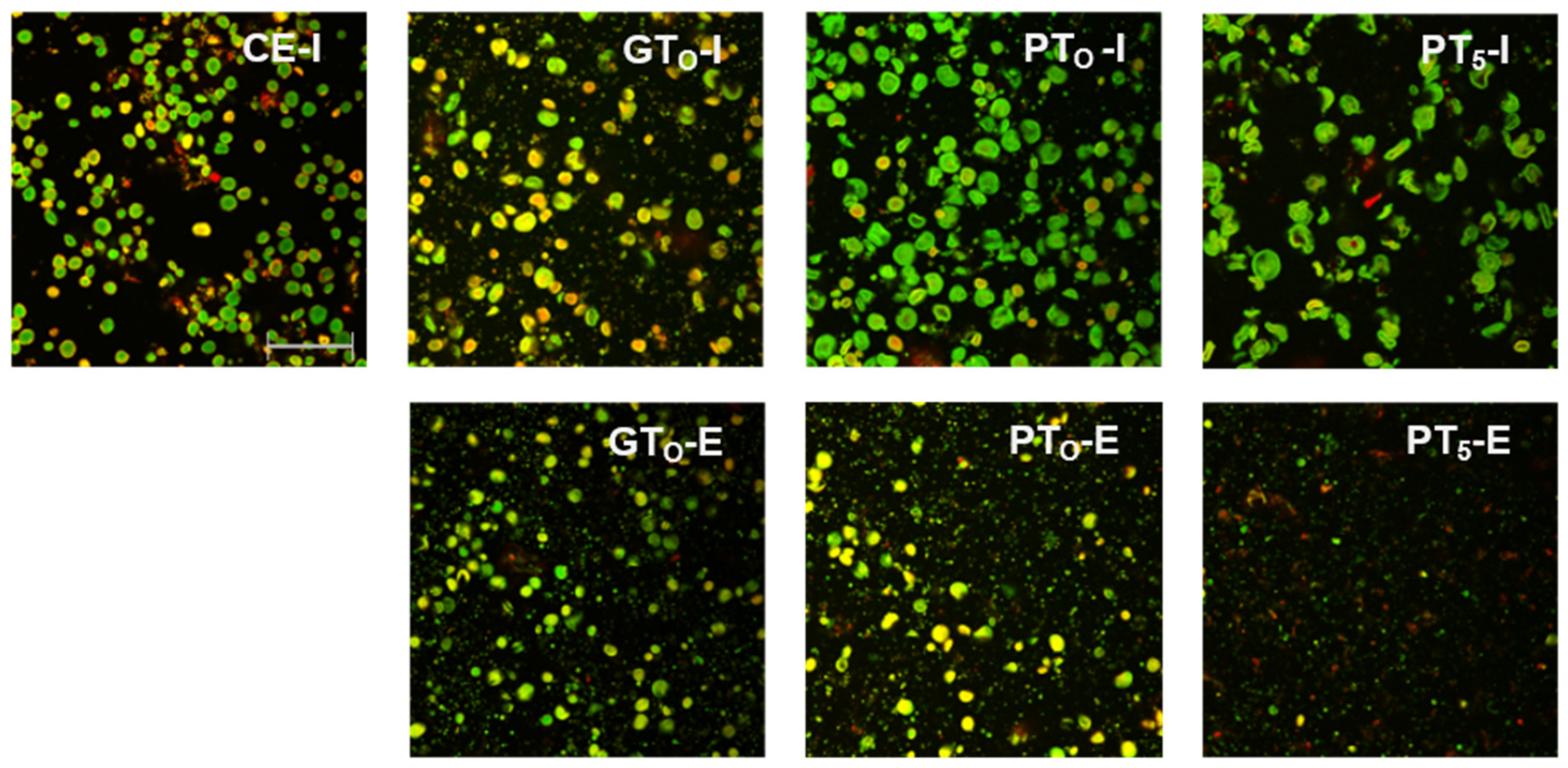 Foods 10 01733 g003 550
