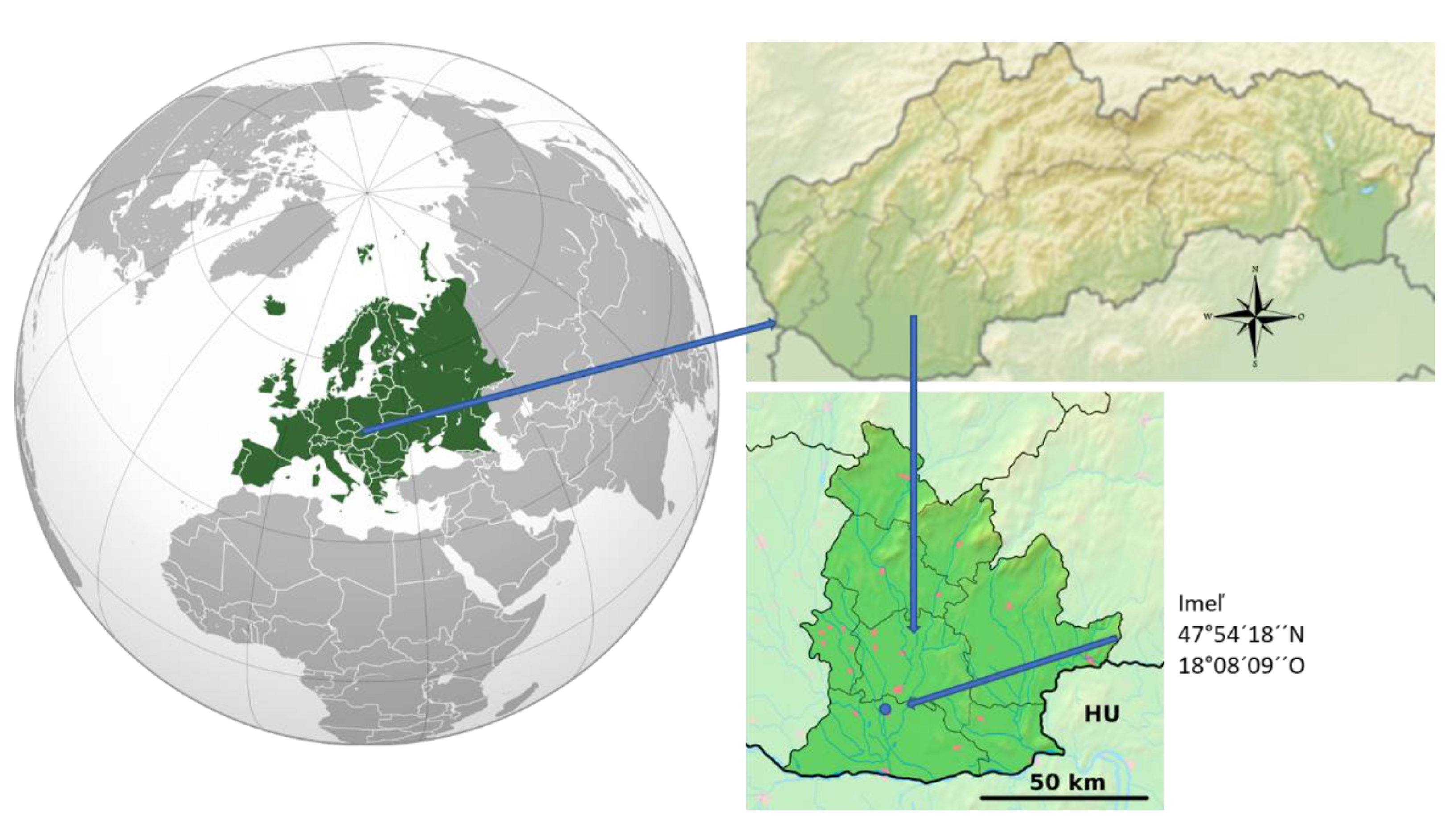 Foods 10 01738 g001 Foods 10 01738 g001
