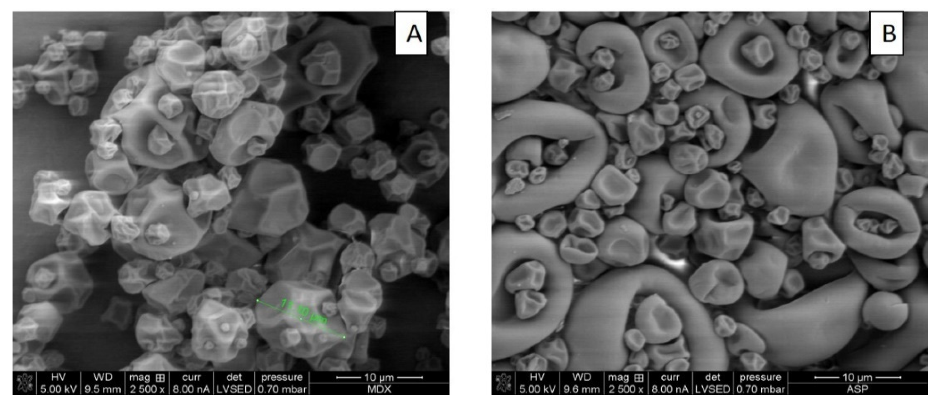 Foods 10 01747 g003 550