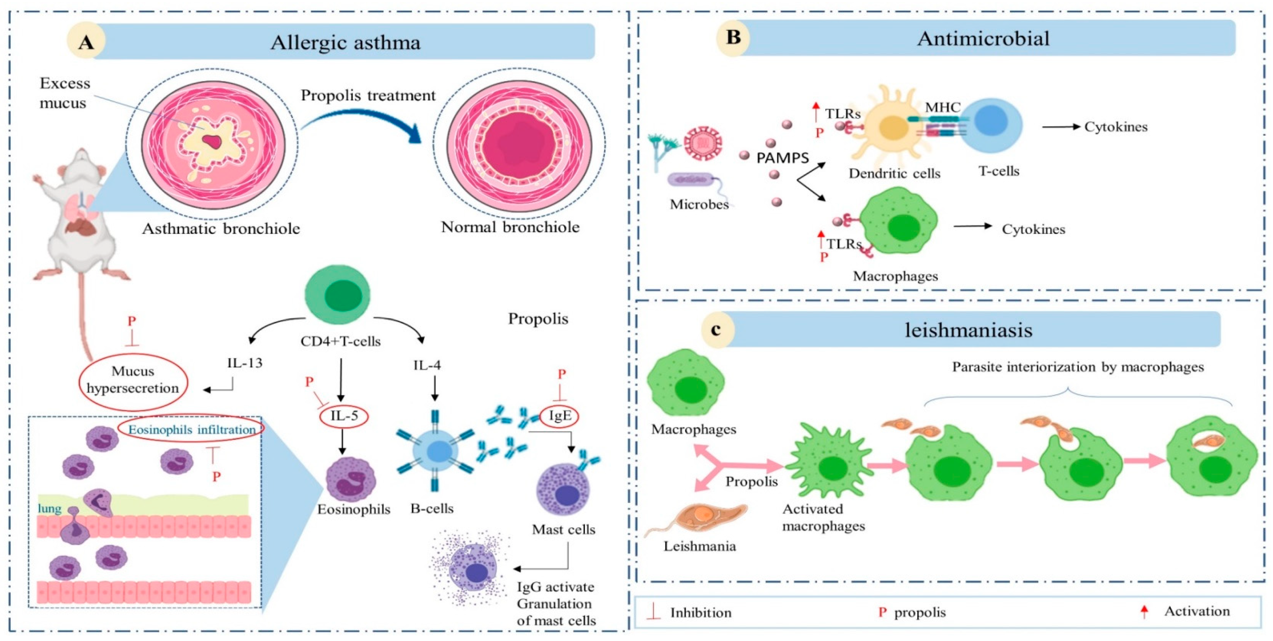 Foods 10 01776 g005 Foods 10 01776 g005