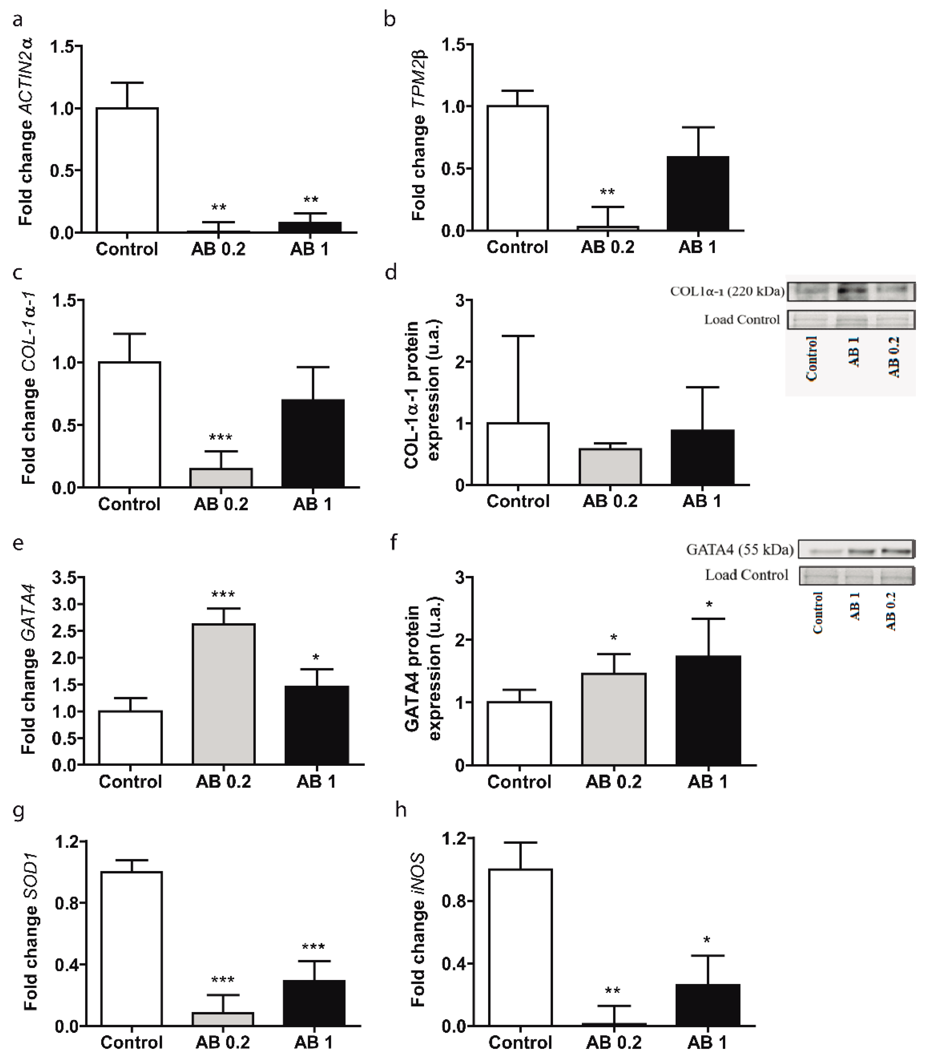 Foods 10 01788 g001 Foods 10 01788 g001